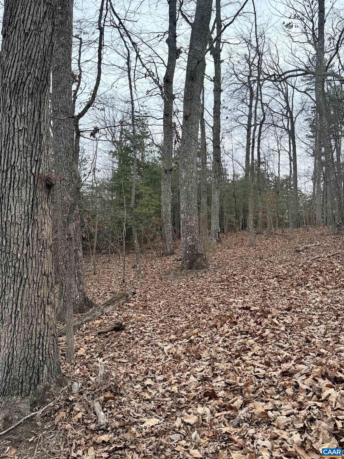 LAKE MONTICELLO - Land