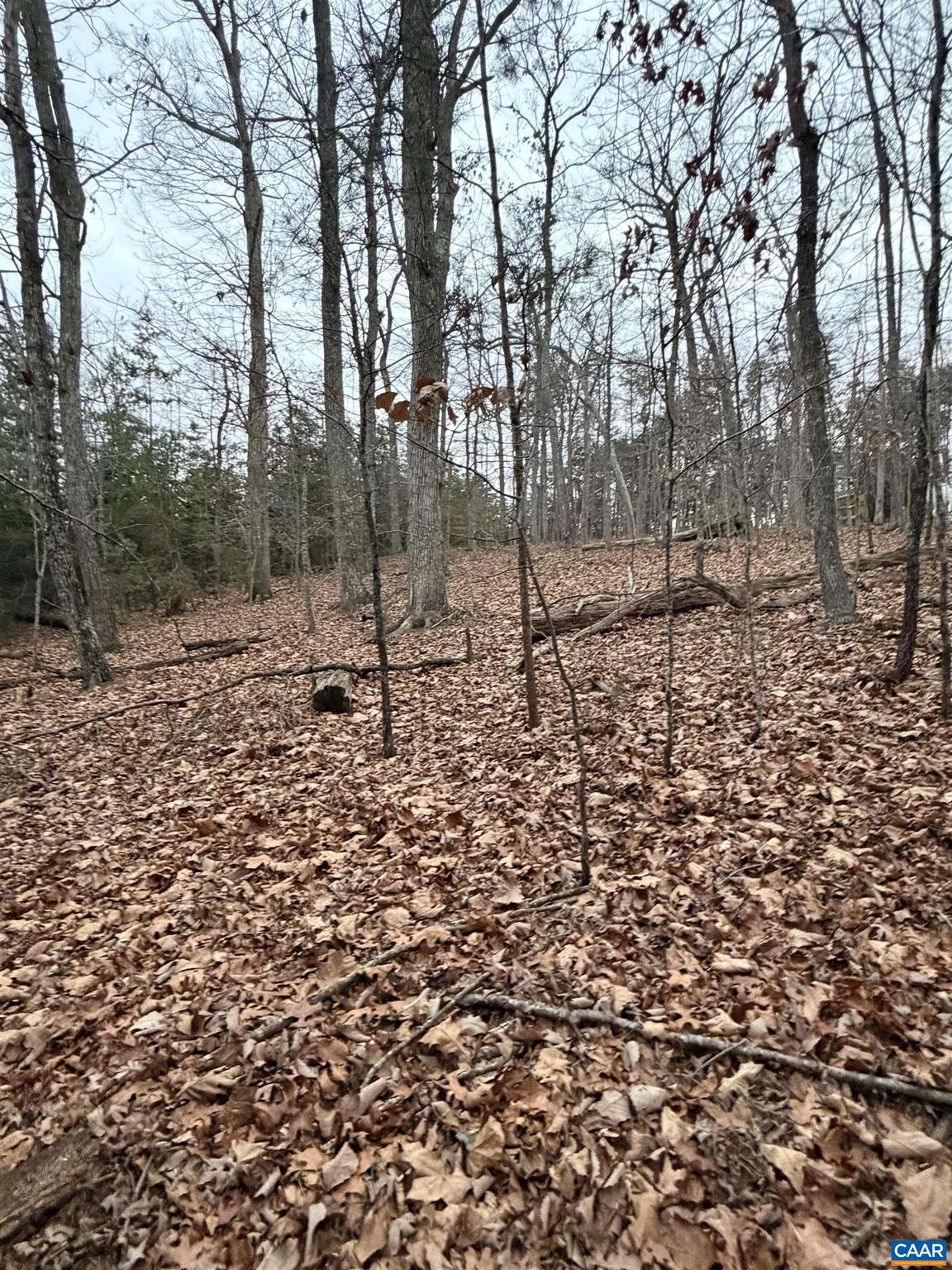 LAKE MONTICELLO - Land