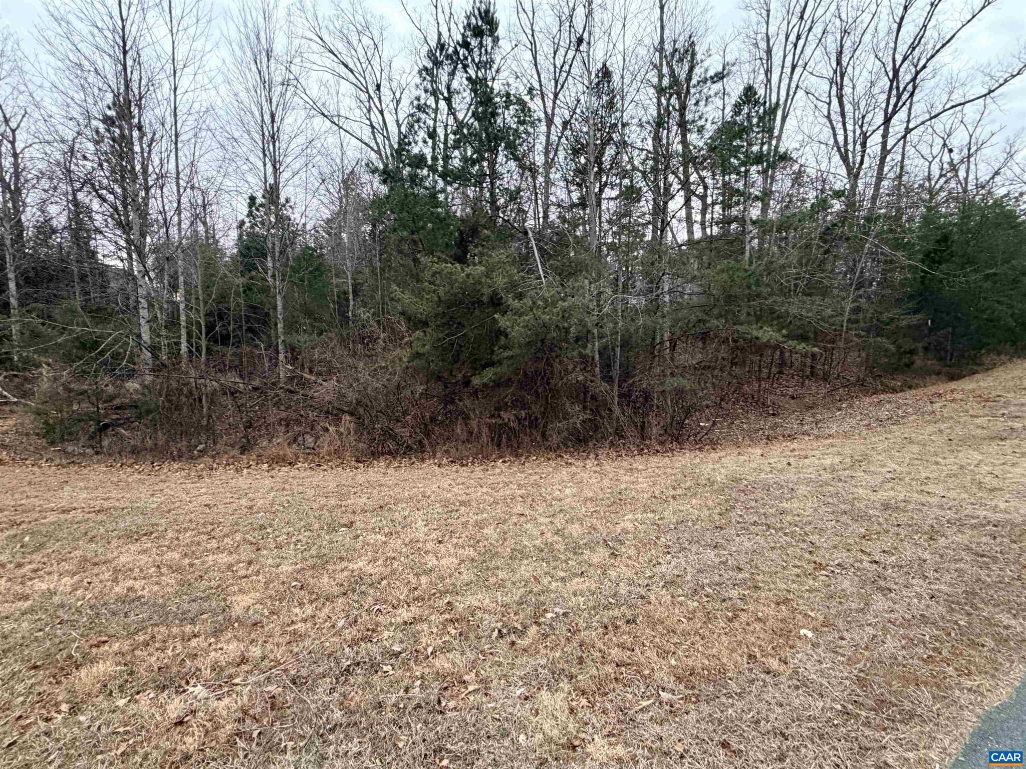 LAKE MONTICELLO - Land