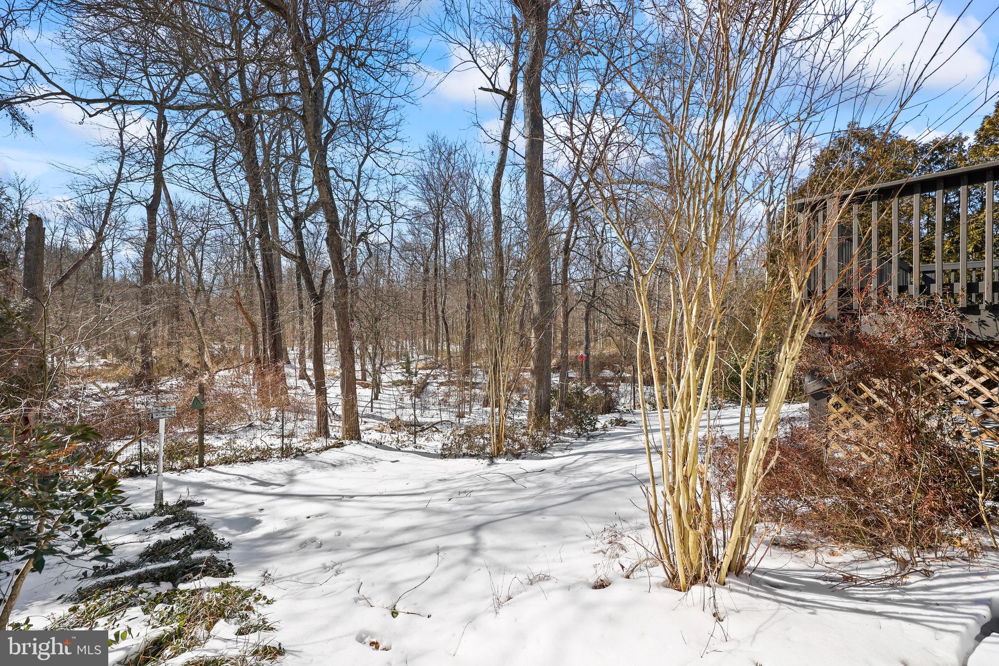 HOLMES RUN CROSSING - Residential