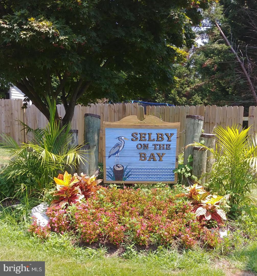 SELBY ON THE BAY - Residential
