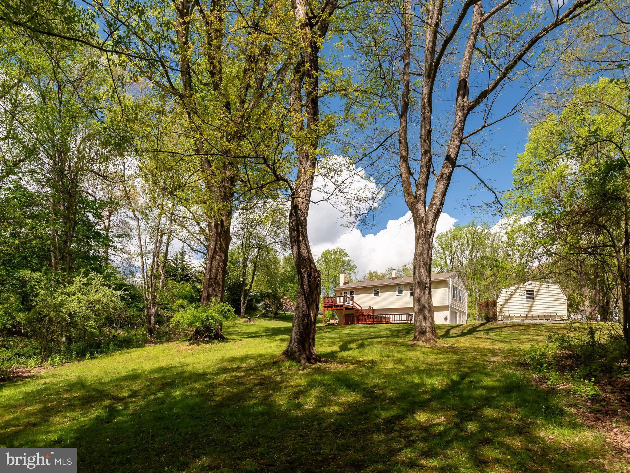 BRANDYWINE CHASE - Residential