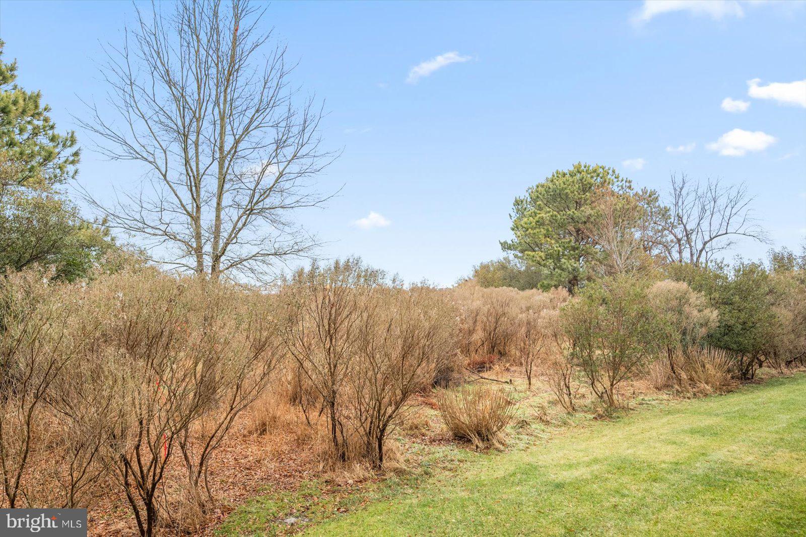 OCEAN PINES - THE POINT - Residential