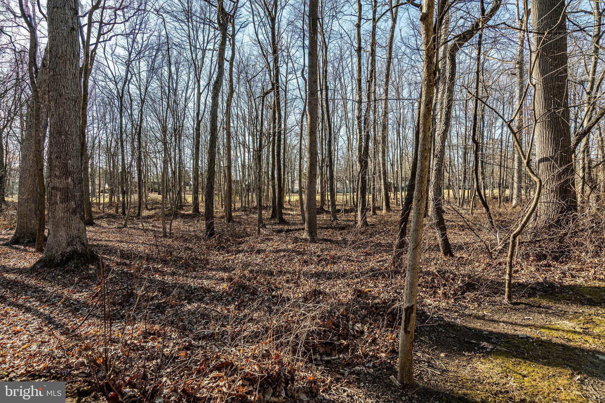 HERSHEYS MILL - Residential