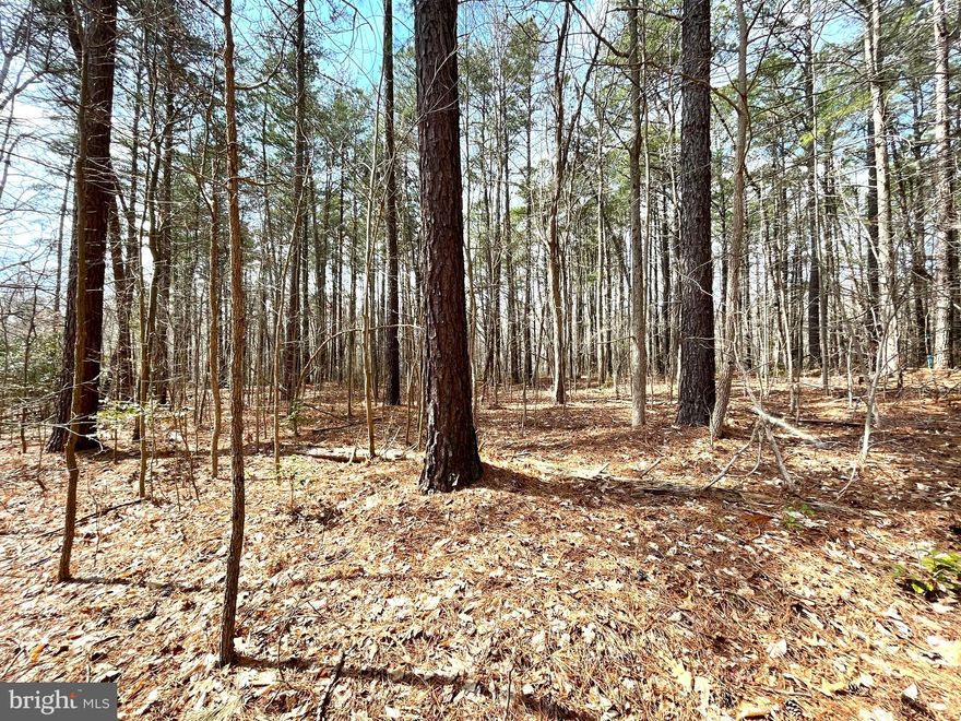 Build your dream home here! Beautiful 3.34 acre wooded lot in Hughesville off Bucktown Road.  Lot near newly built large homes!  Lot starts at the Conservation Easement sign on Bucktown Rd & goes past our real estate sign. A bubbing stream runs on the left side of the lot & continues towards the rear of the lot. When you access the lot by our sign, go to the right to view the large, level building area!  Close to Calvert, Charles and St Mary's counties.  Property borders a 2.45 acre Forest Conservation Easement.  Approved perc