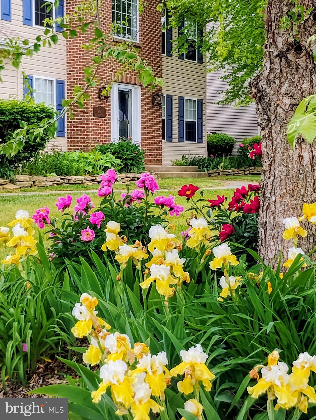 206 W THOMAS COURT