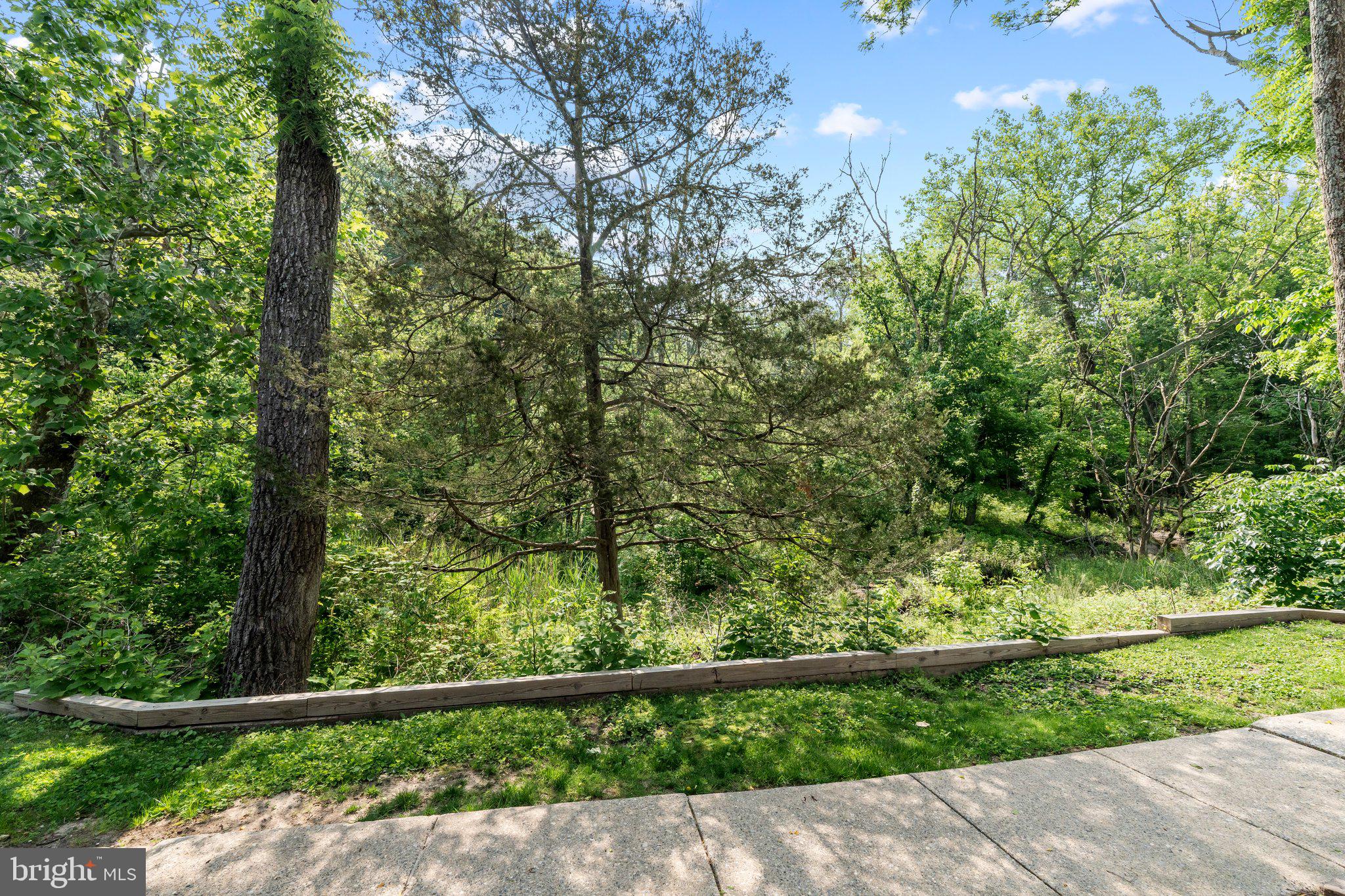 1004 TIMBER CREEK ROAD