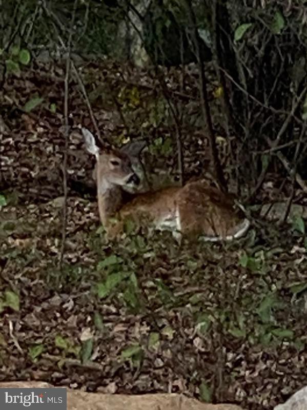 LAKE WYNONAH - Residential