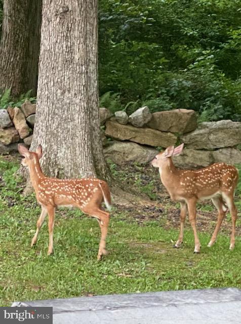 LAKE WYNONAH - Residential