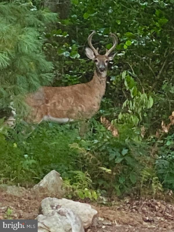 LAKE WYNONAH - Residential