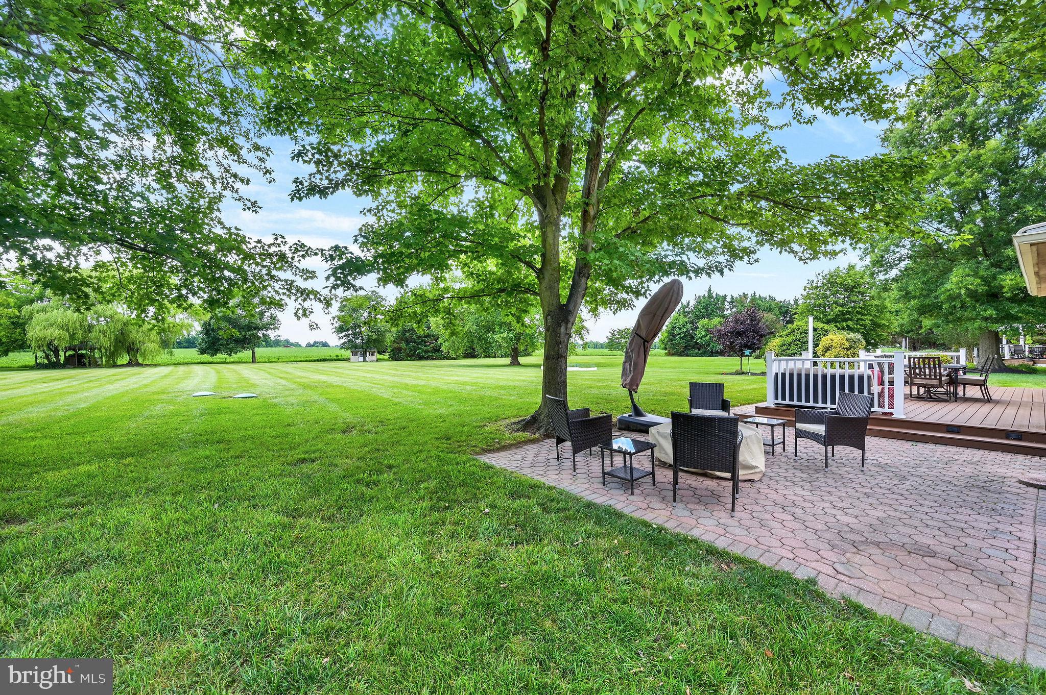 117 SASSAFRAS DRIVE
