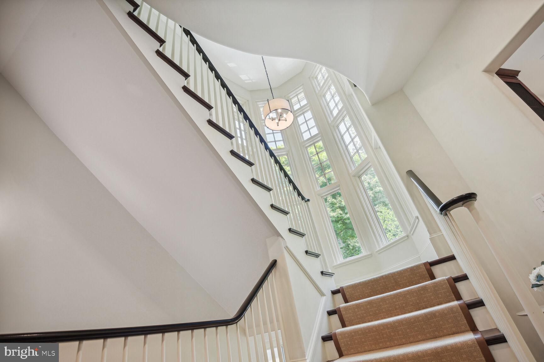 BURNING TREE - Residential