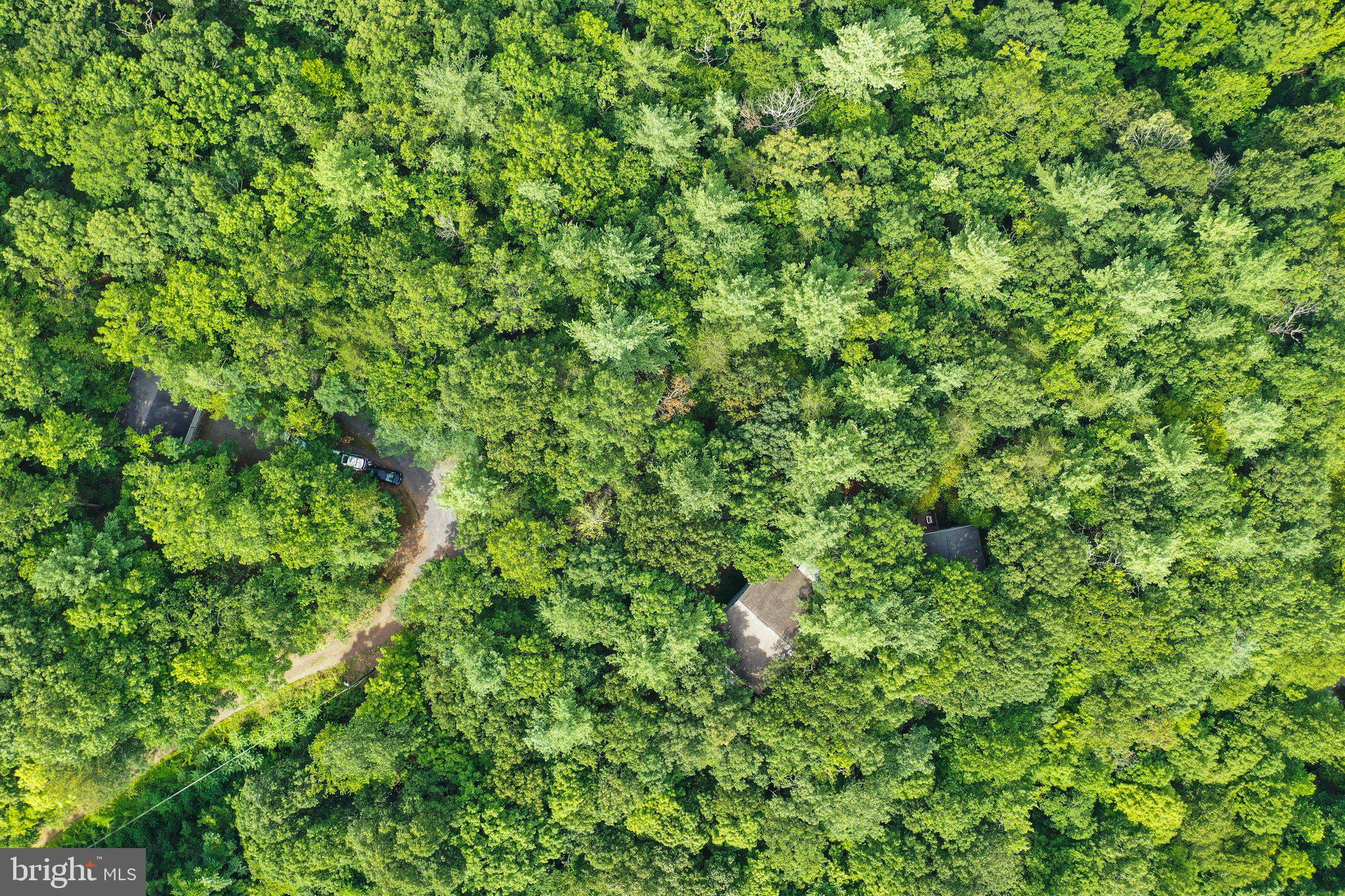 SPRING BROOK ESTATES - Residential