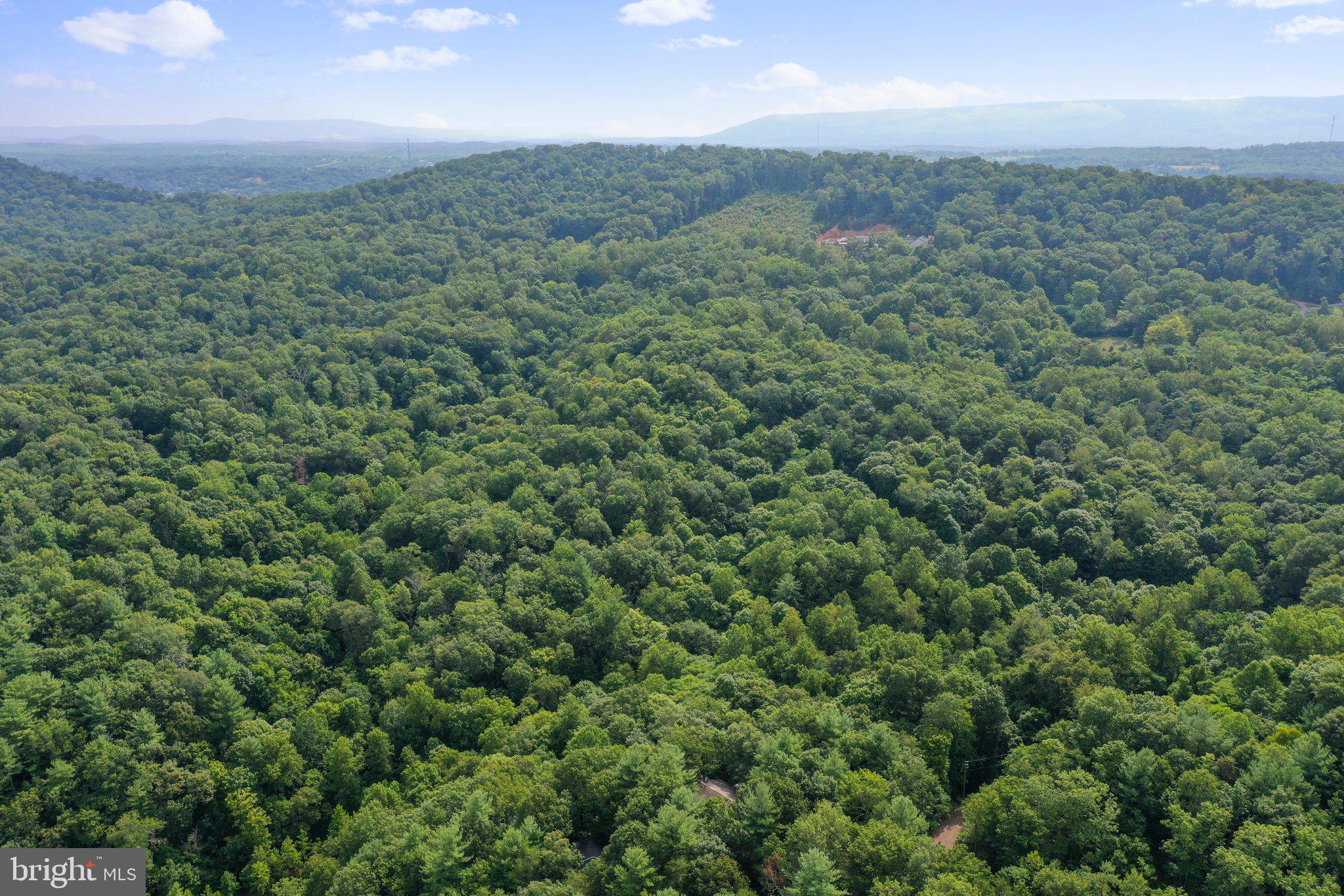 SPRING BROOK ESTATES - Residential