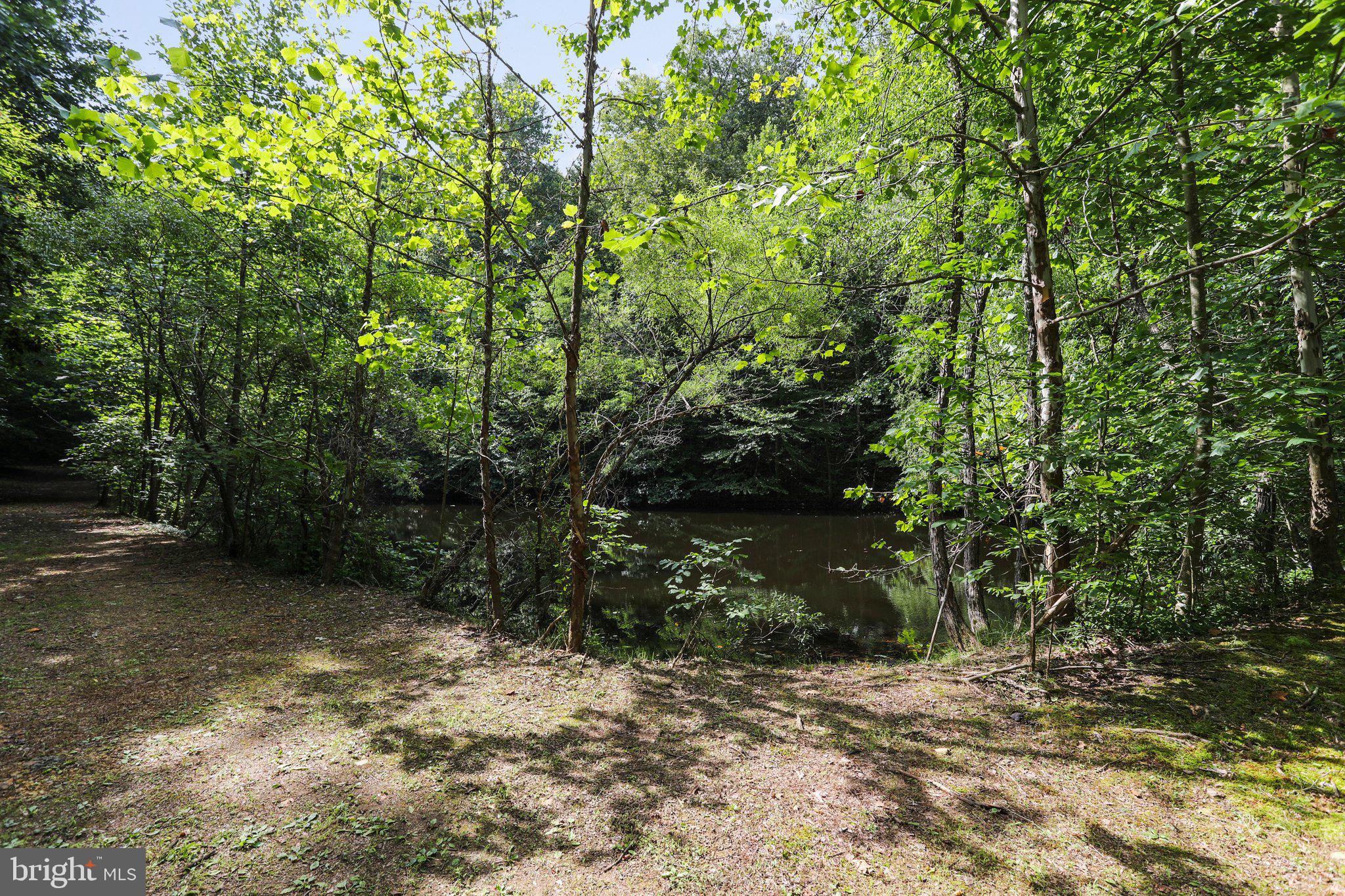 SPRING BROOK ESTATES - Residential