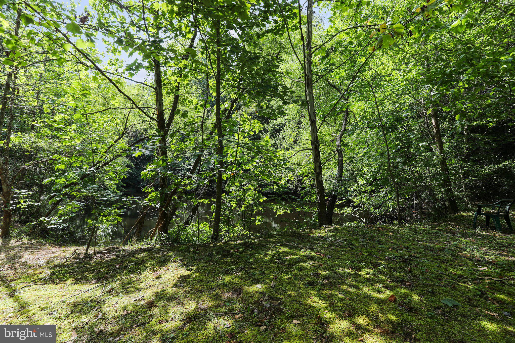 SPRING BROOK ESTATES - Residential