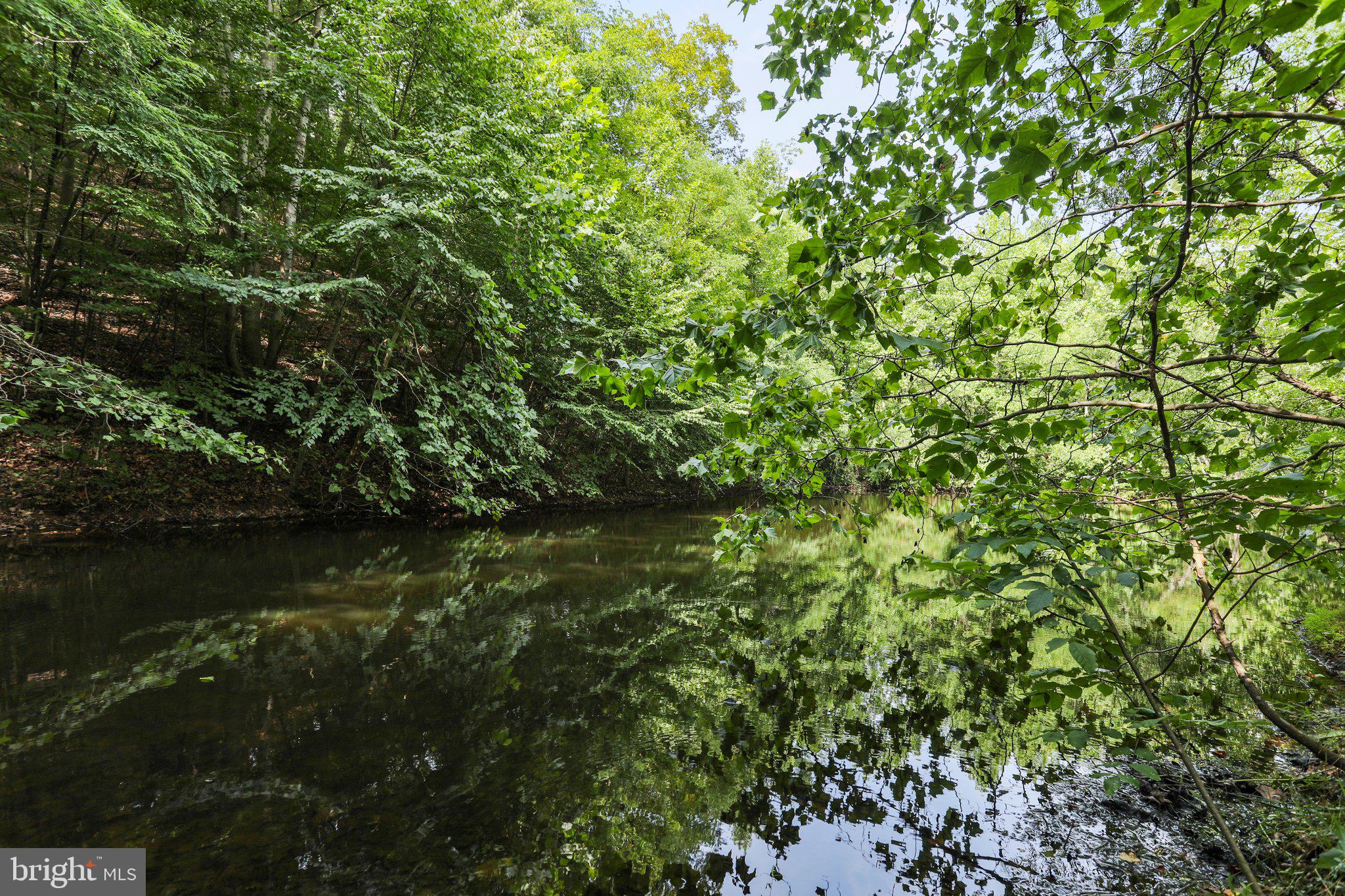 SPRING BROOK ESTATES - Residential