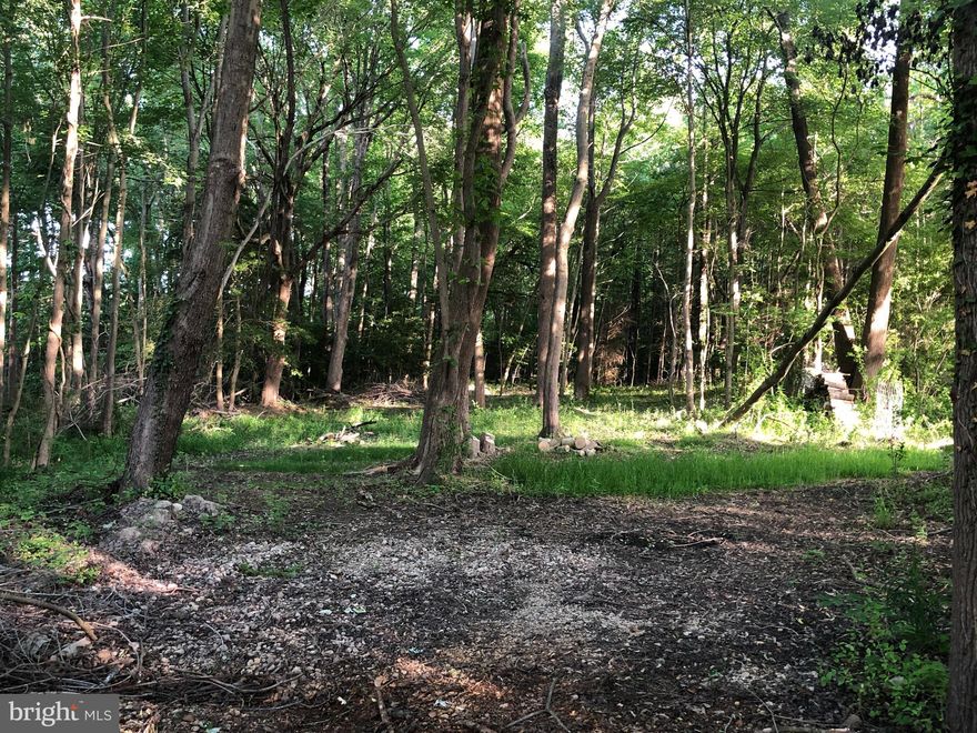 .6 acres to build your new home.  Approved for mound septic system and possible public water and wastewater connection available.