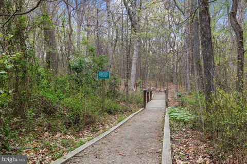listing image 40