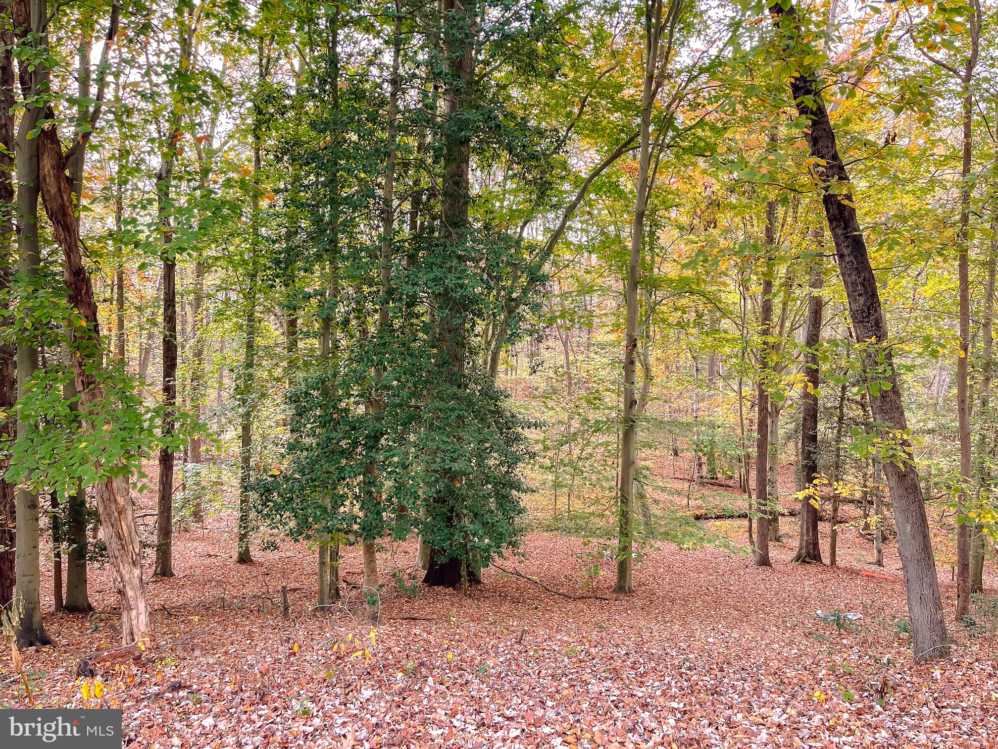 BEL ALTON ESTATES - Residential