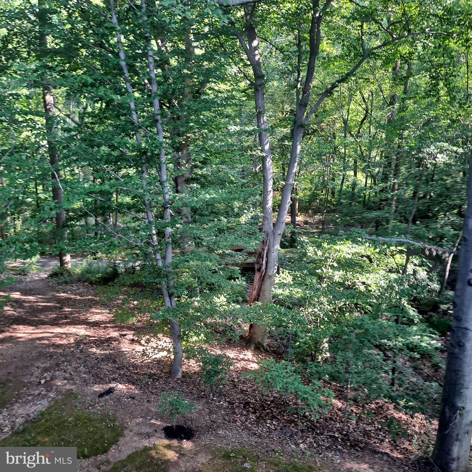 LAKEVIEW - Residential