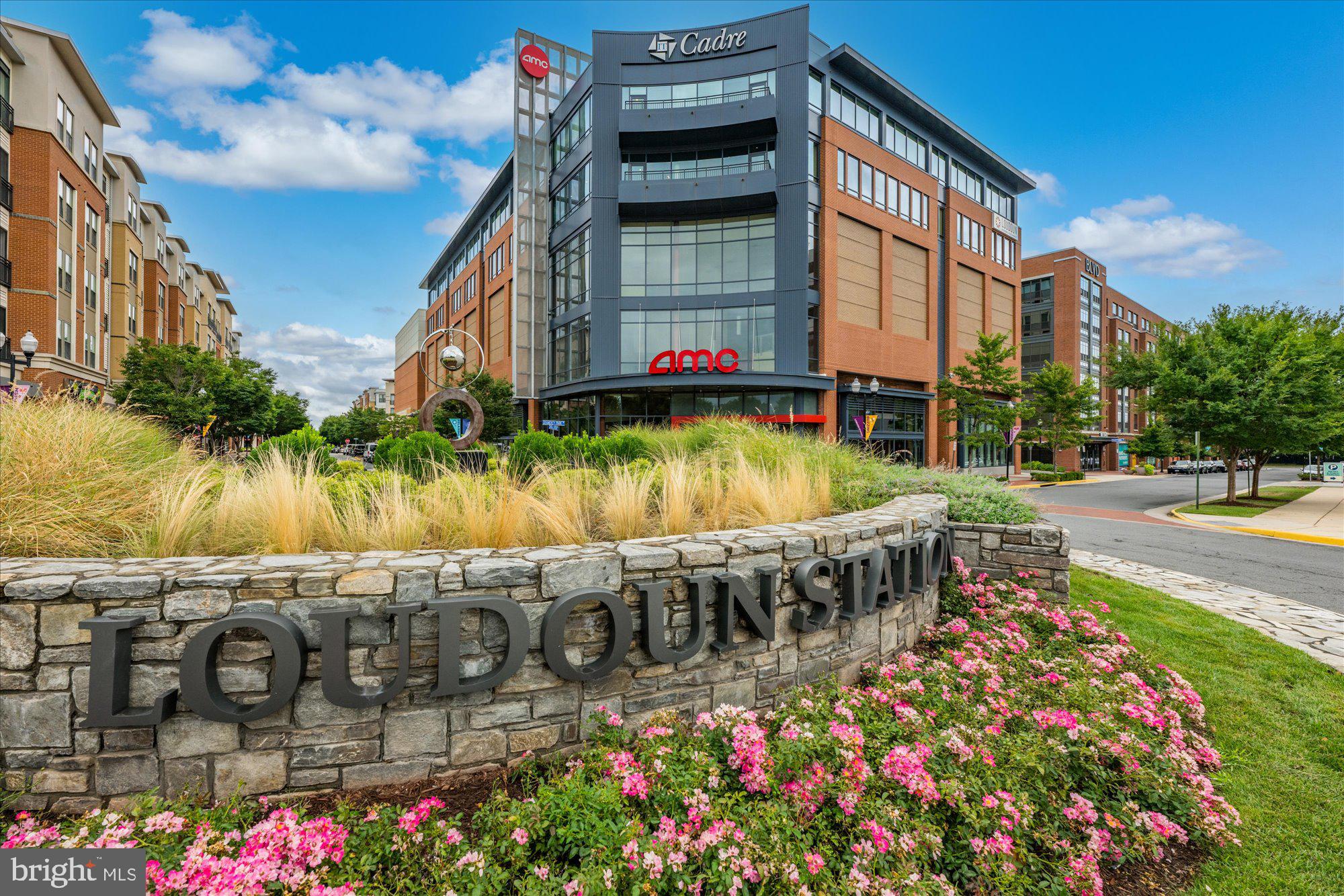 METRO WALK AT MOOREFIELD STATION - Residential