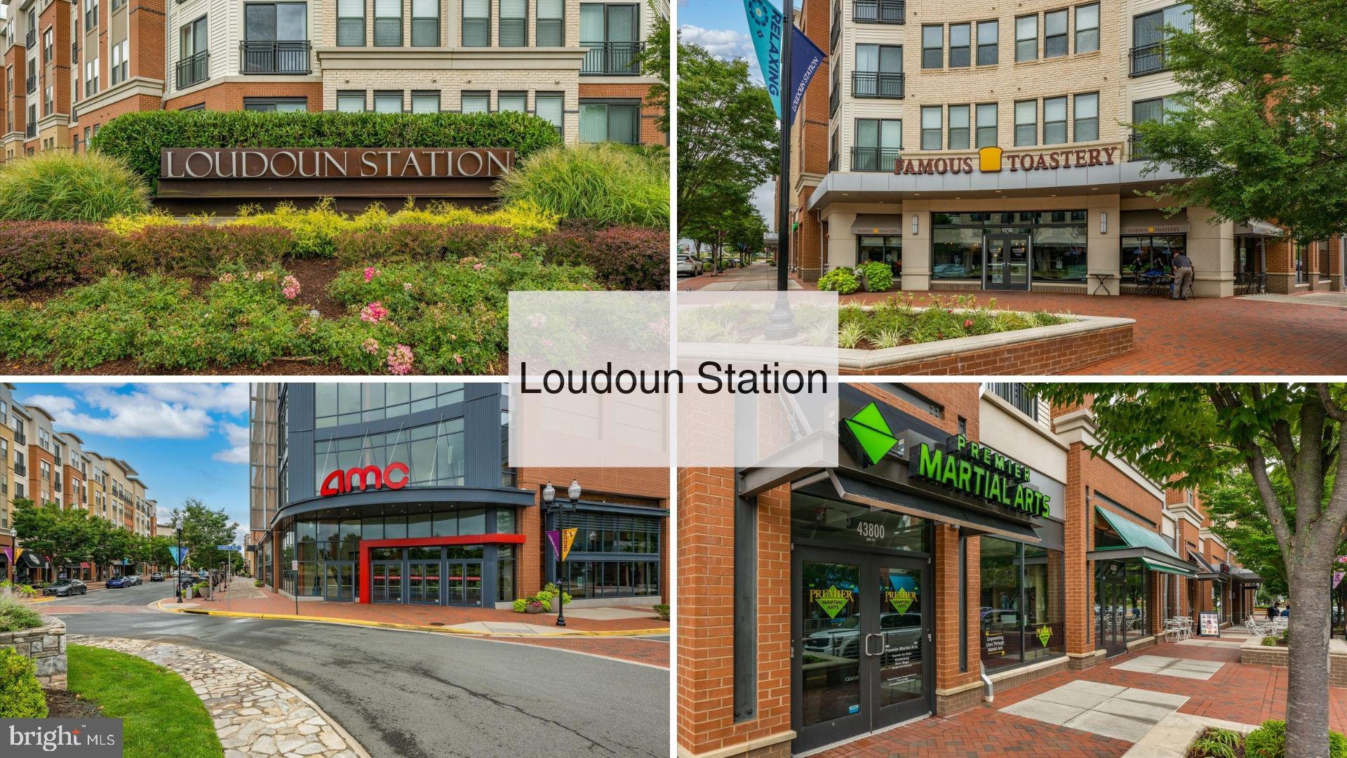 METRO WALK AT MOOREFIELD STATION - Residential