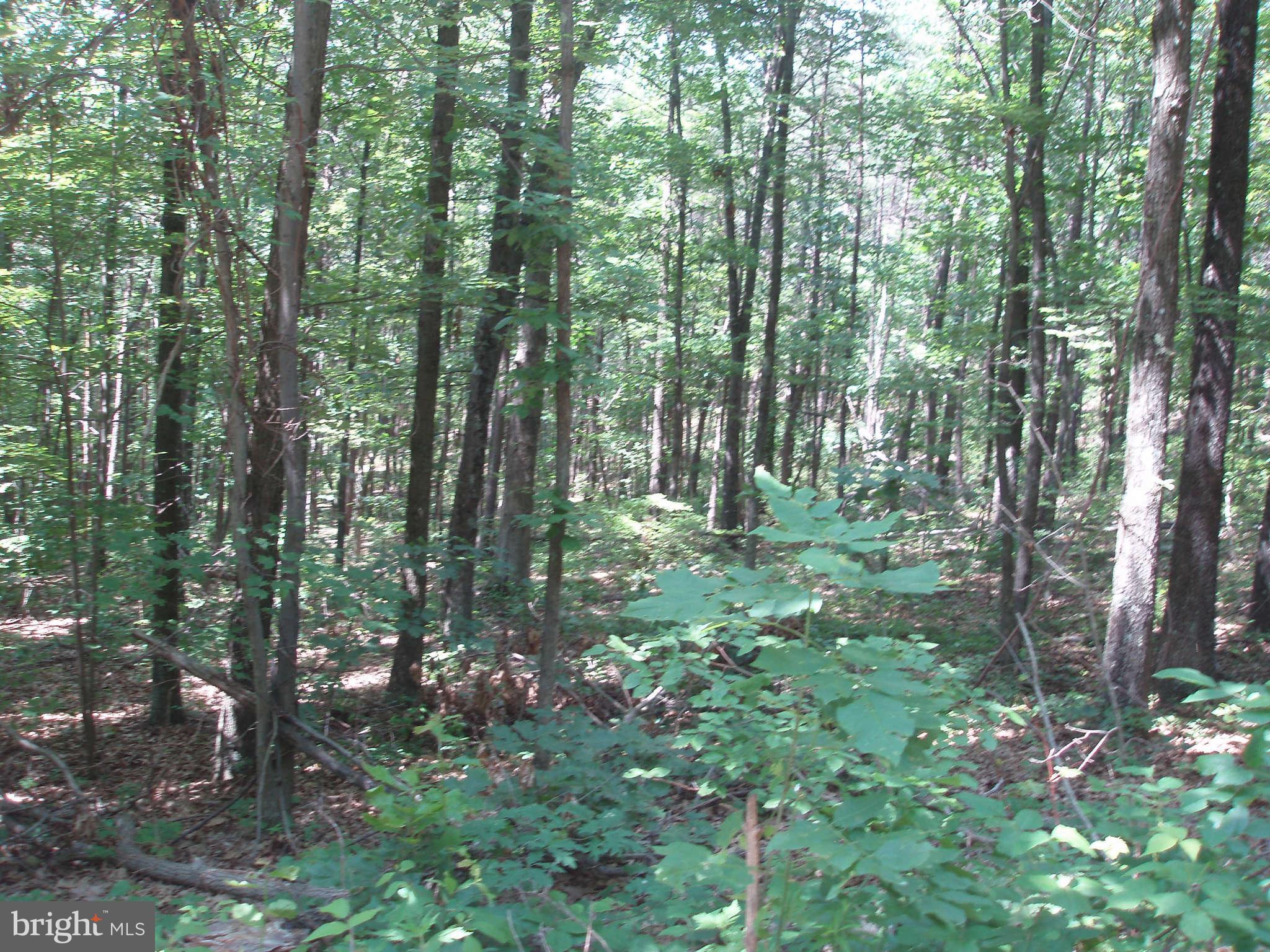 WAYMAN SUBDIVISION - Land