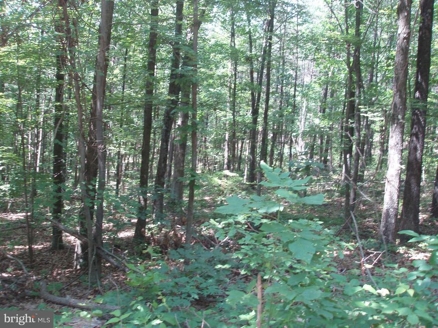 7.23 Wooded Acres in small sub-division fronting paved county road.  Clear some trees for a beautiful long range mountain view of Cacapon Mountain.  Topo is level to sloping.  Septic permit on file, but expired.