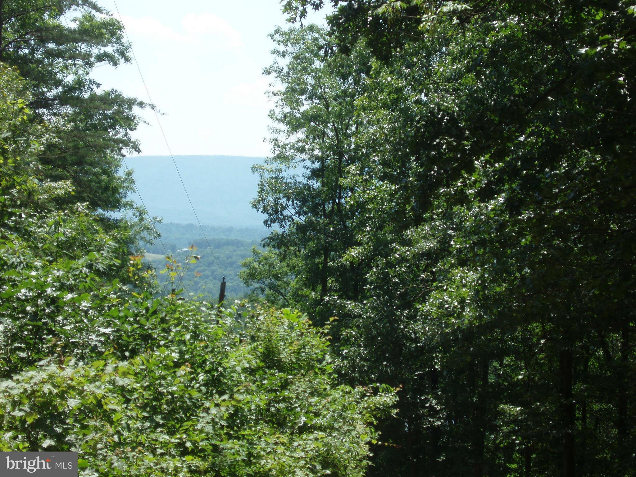 WAYMAN SUBDIVISION - Land