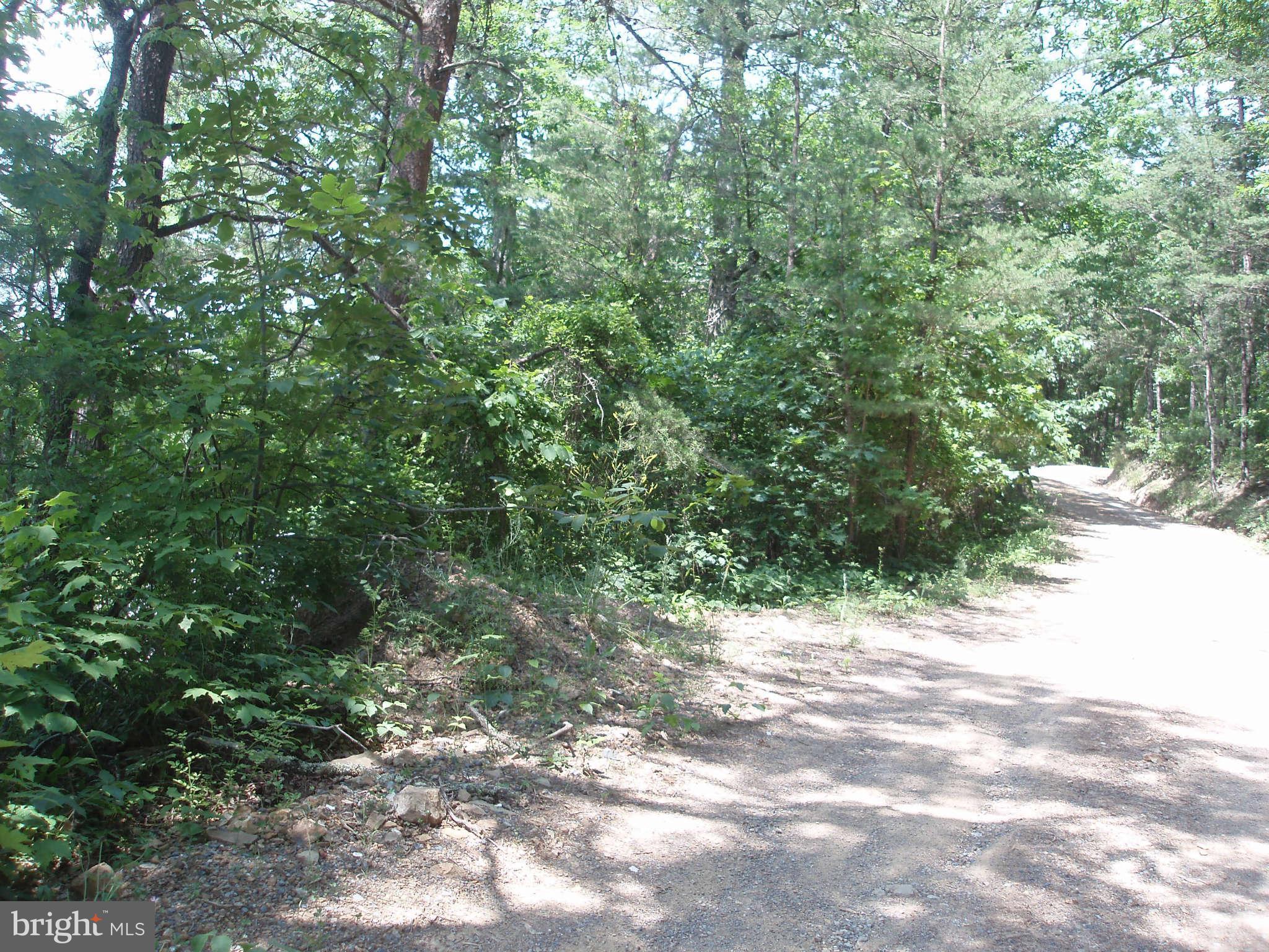 WAYMAN SUBDIVISION - Land