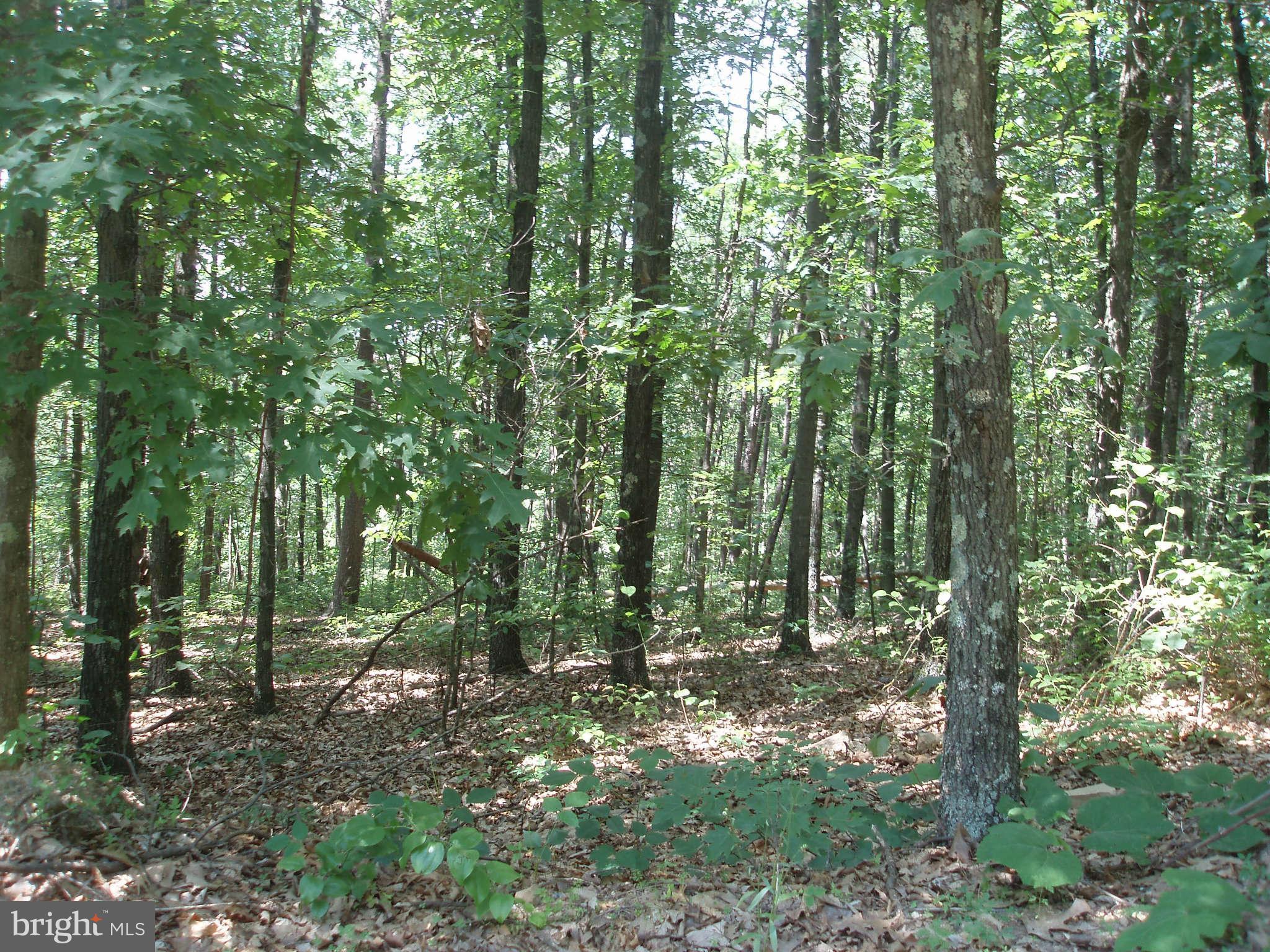 WAYMAN SUBDIVISION - Land