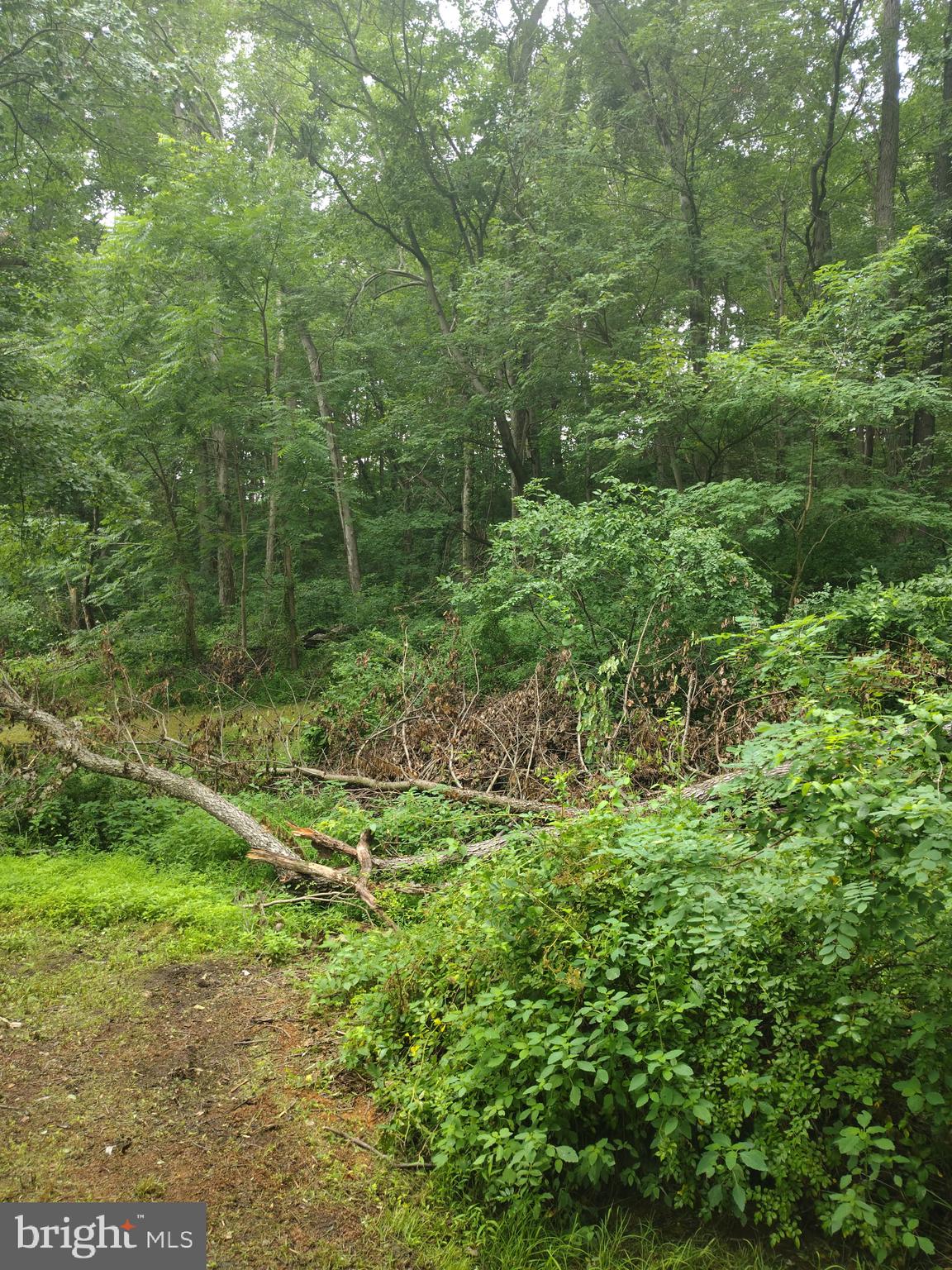 1685 BURKHOLDER ROAD