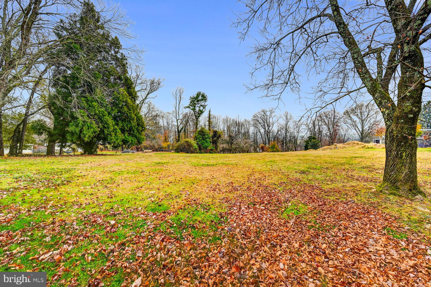 PHOENIX - Residential Lease