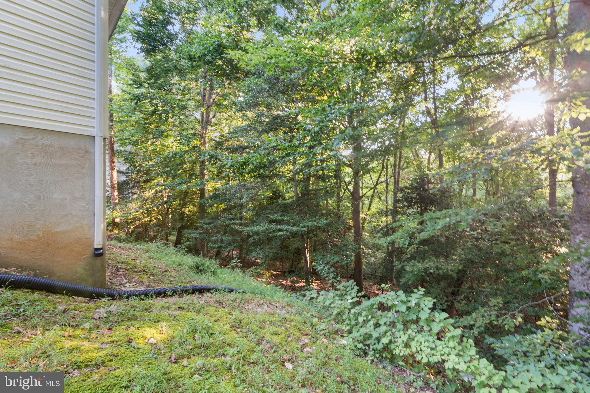 WHITE SANDS - Residential