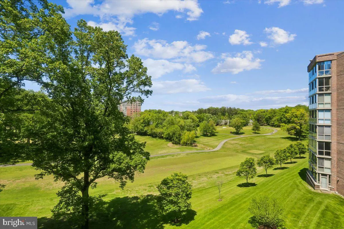Additional image 103 of 3005 Leisure World Boulevard S Unit 515, Silver Spring, MD 20906