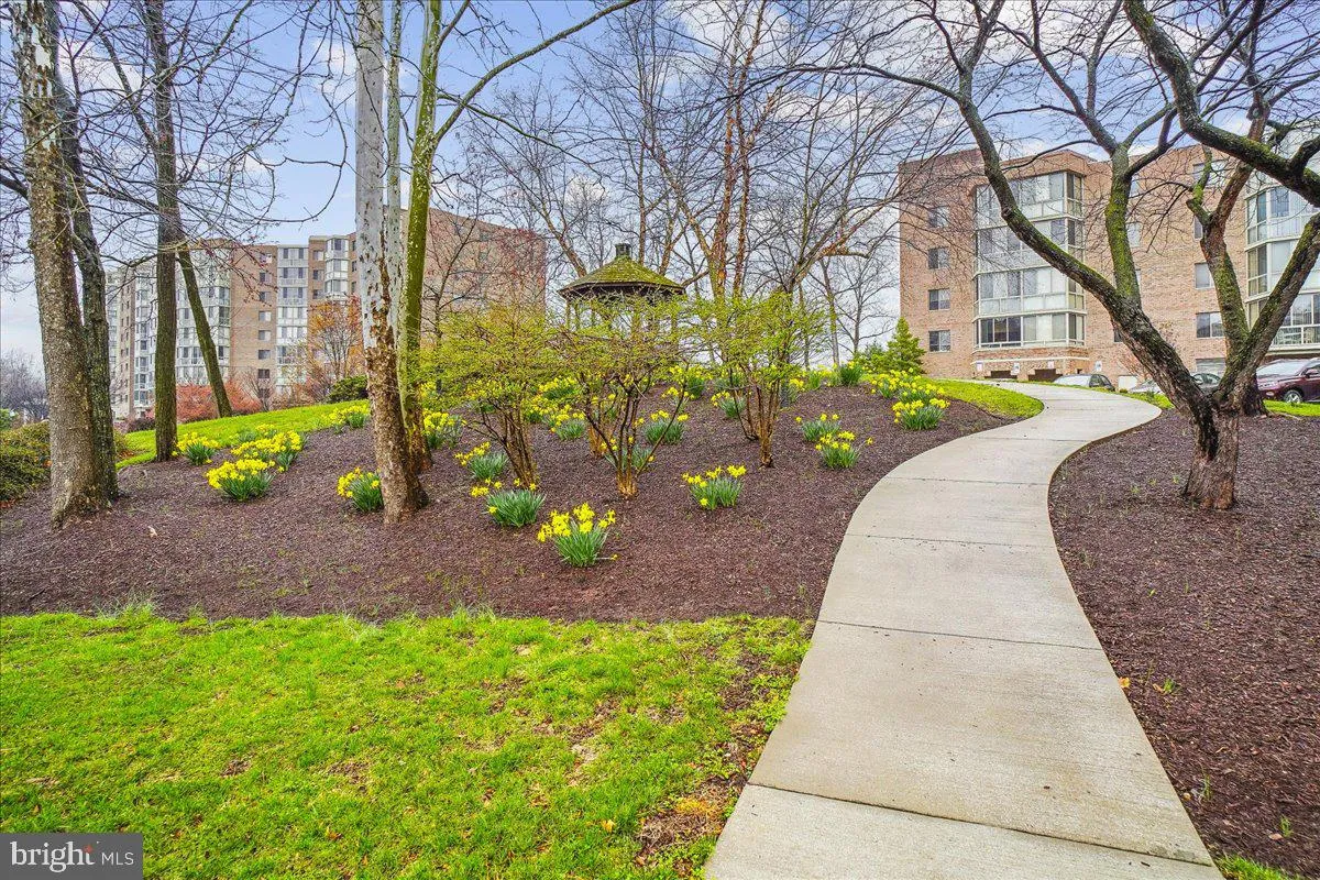 Additional image 126 of 3005 Leisure World Boulevard S Unit 515, Silver Spring, MD 20906