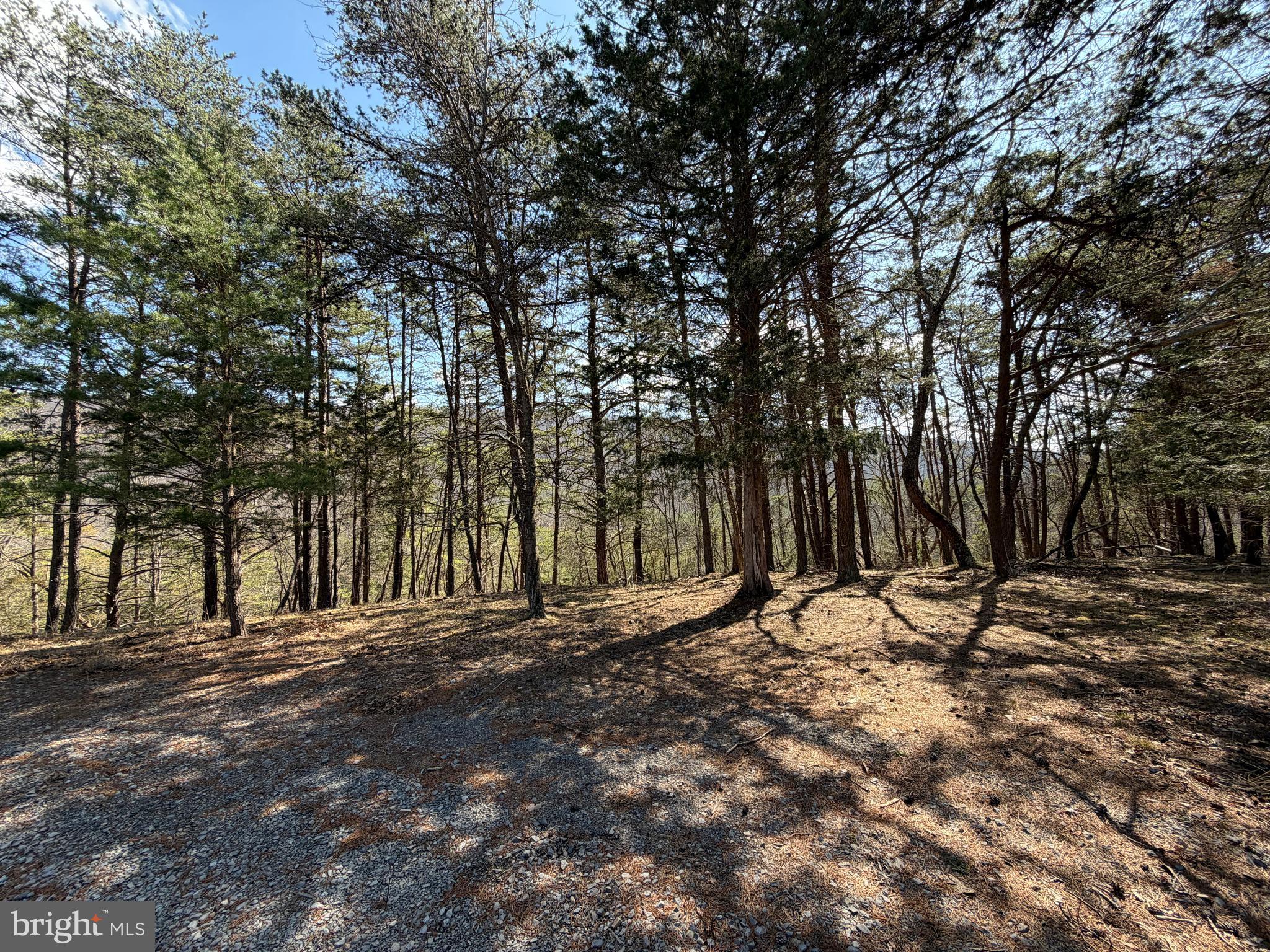 HAMILTON ESTATES - Land