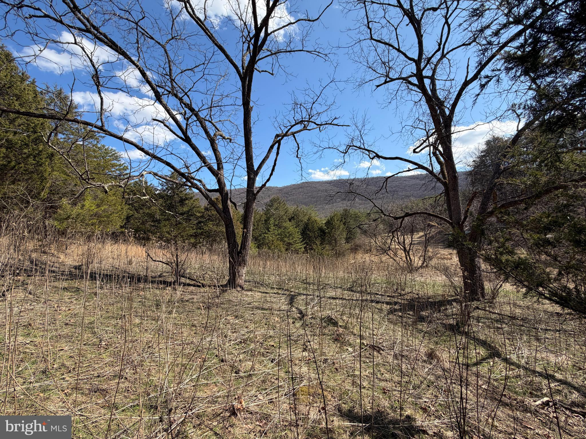 HAMILTON ESTATES - Land