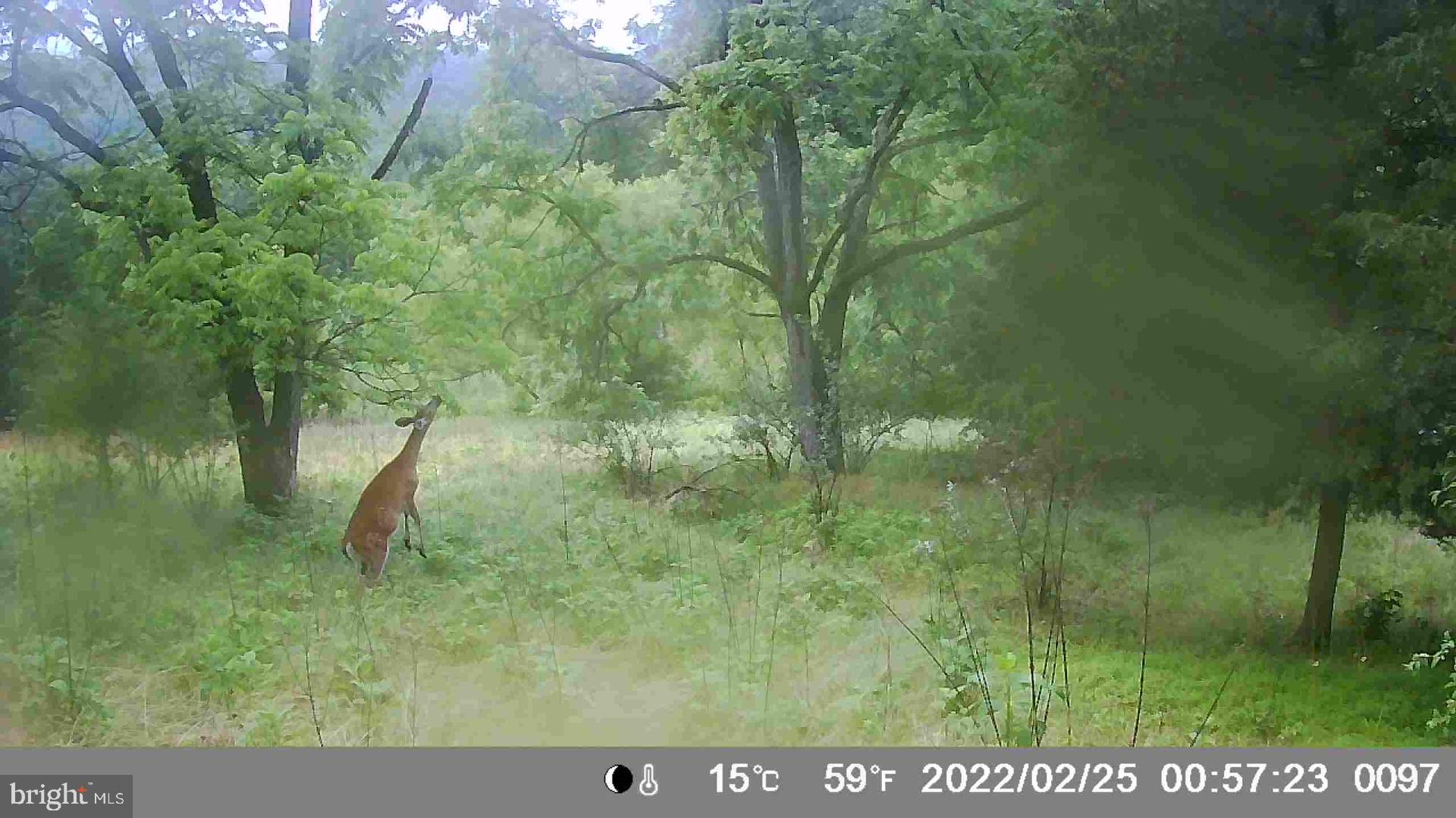 HAMILTON ESTATES - Land