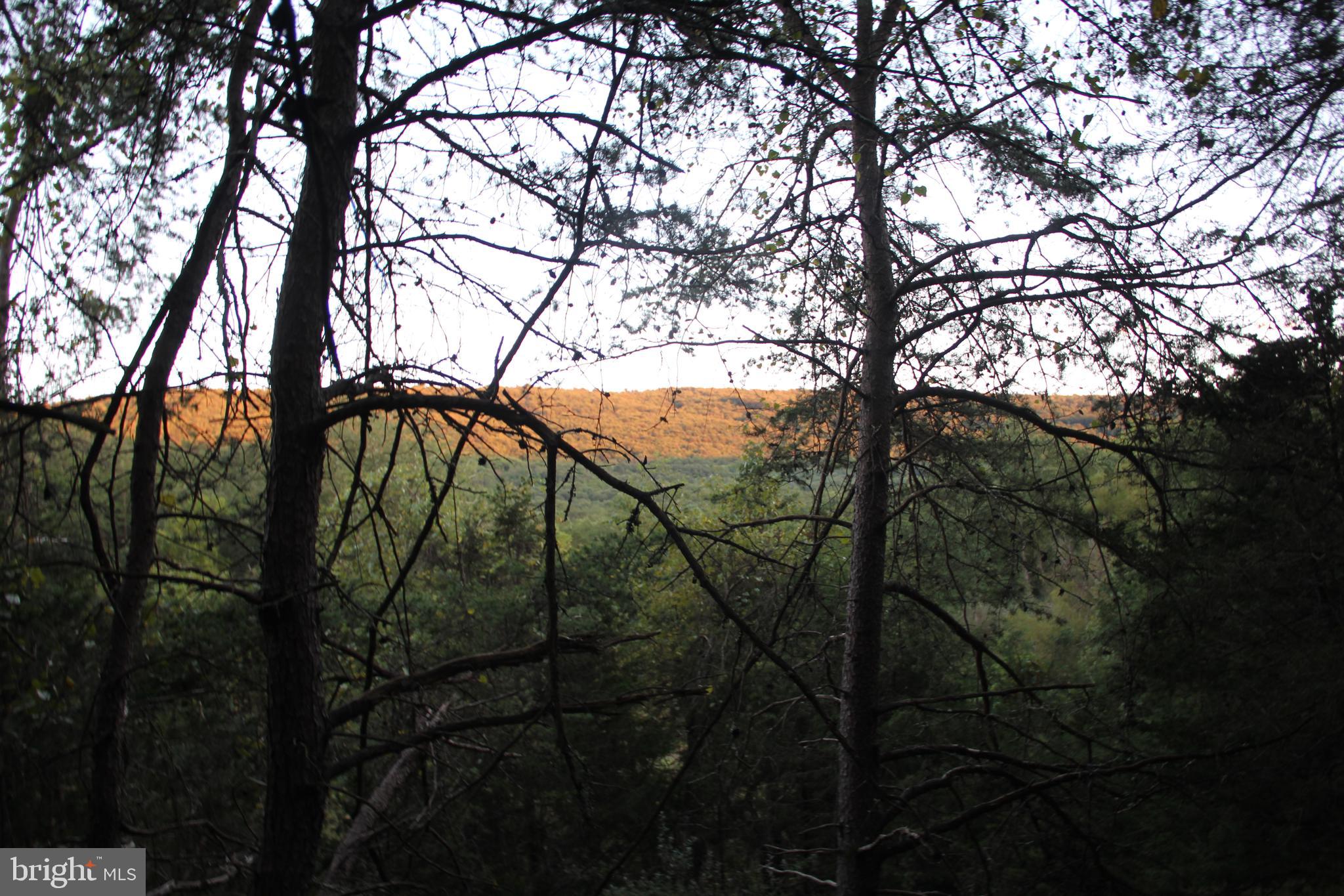 HAMILTON ESTATES - Land