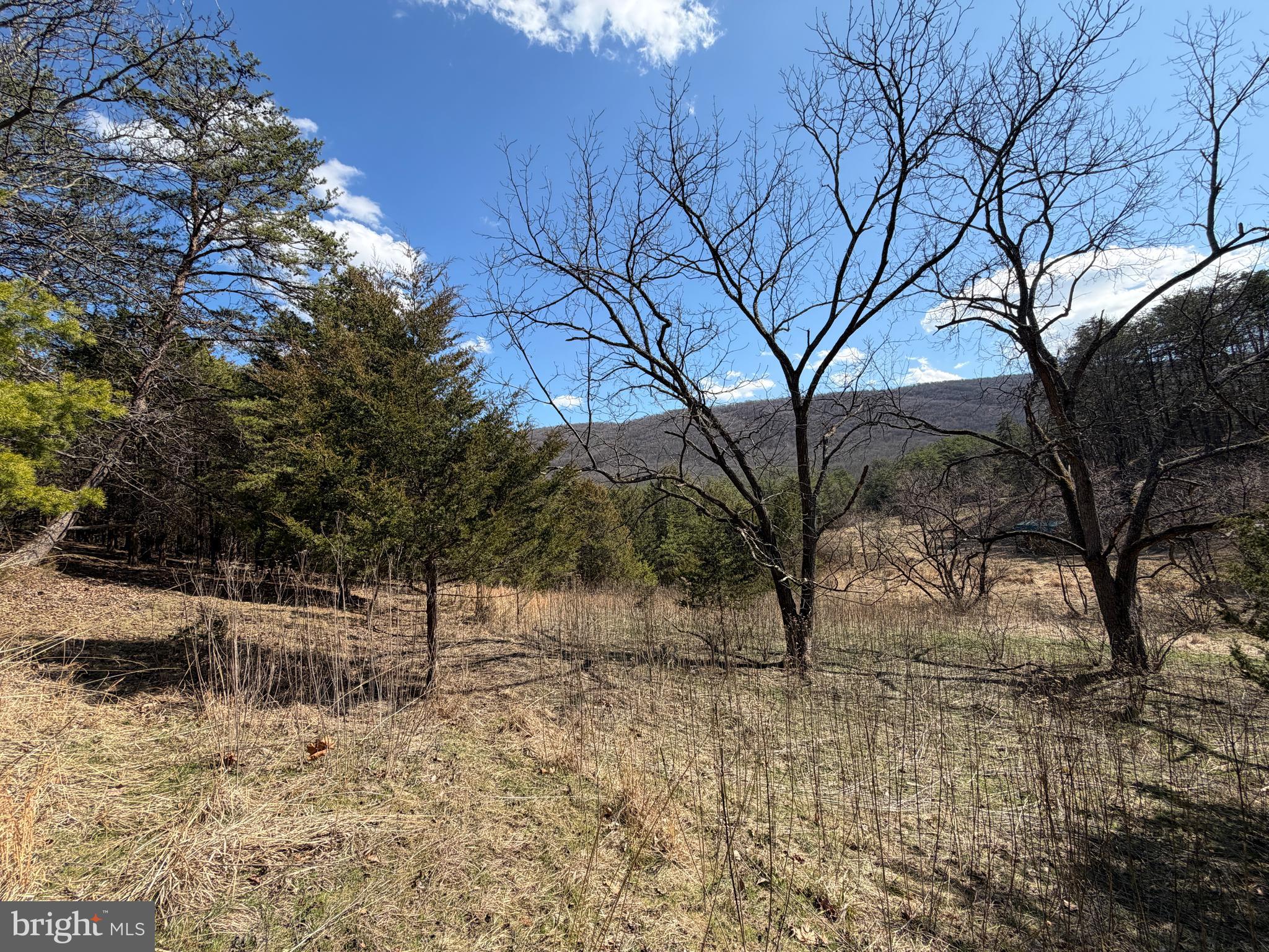 HAMILTON ESTATES - Land