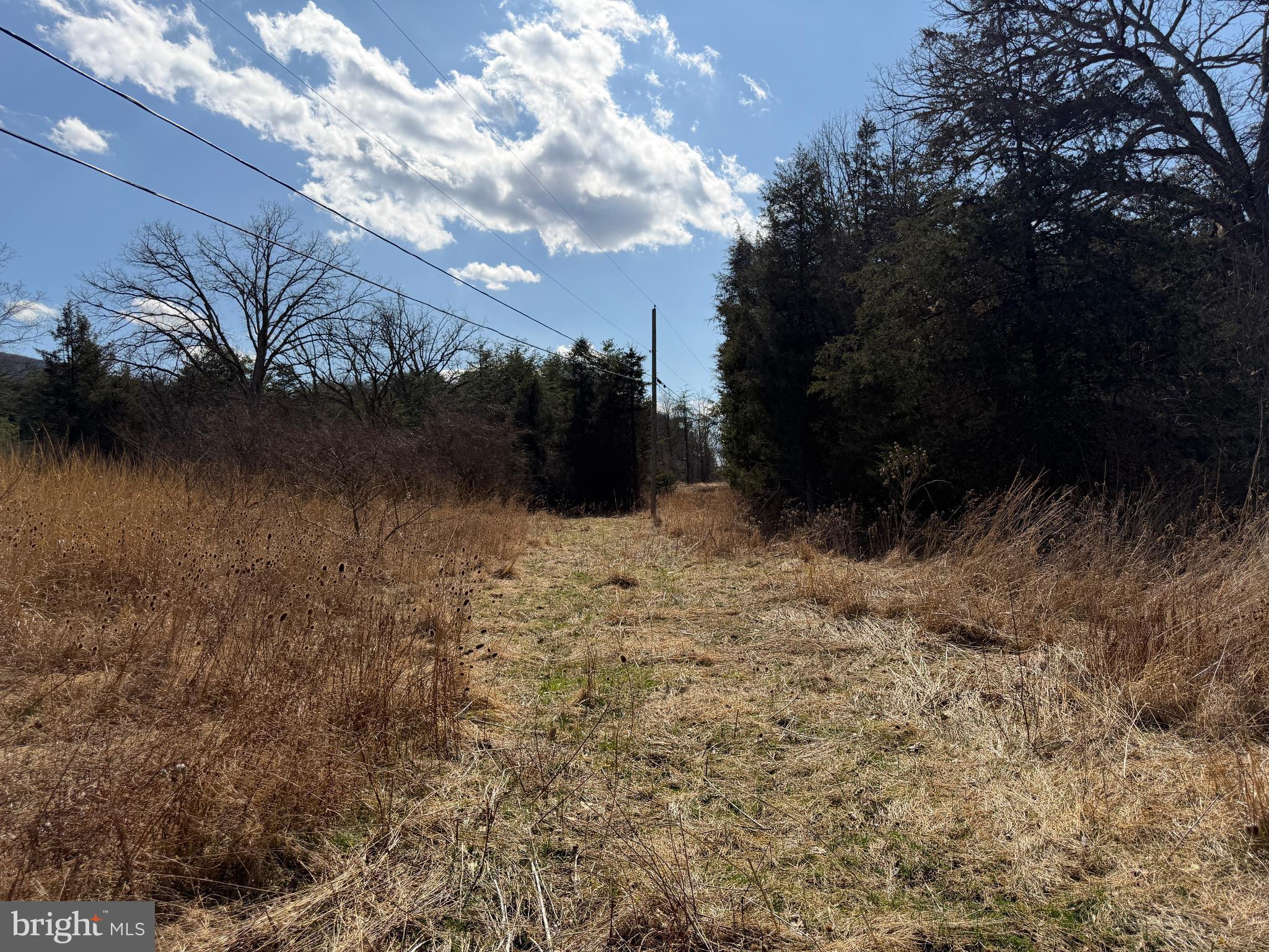 HAMILTON ESTATES - Land