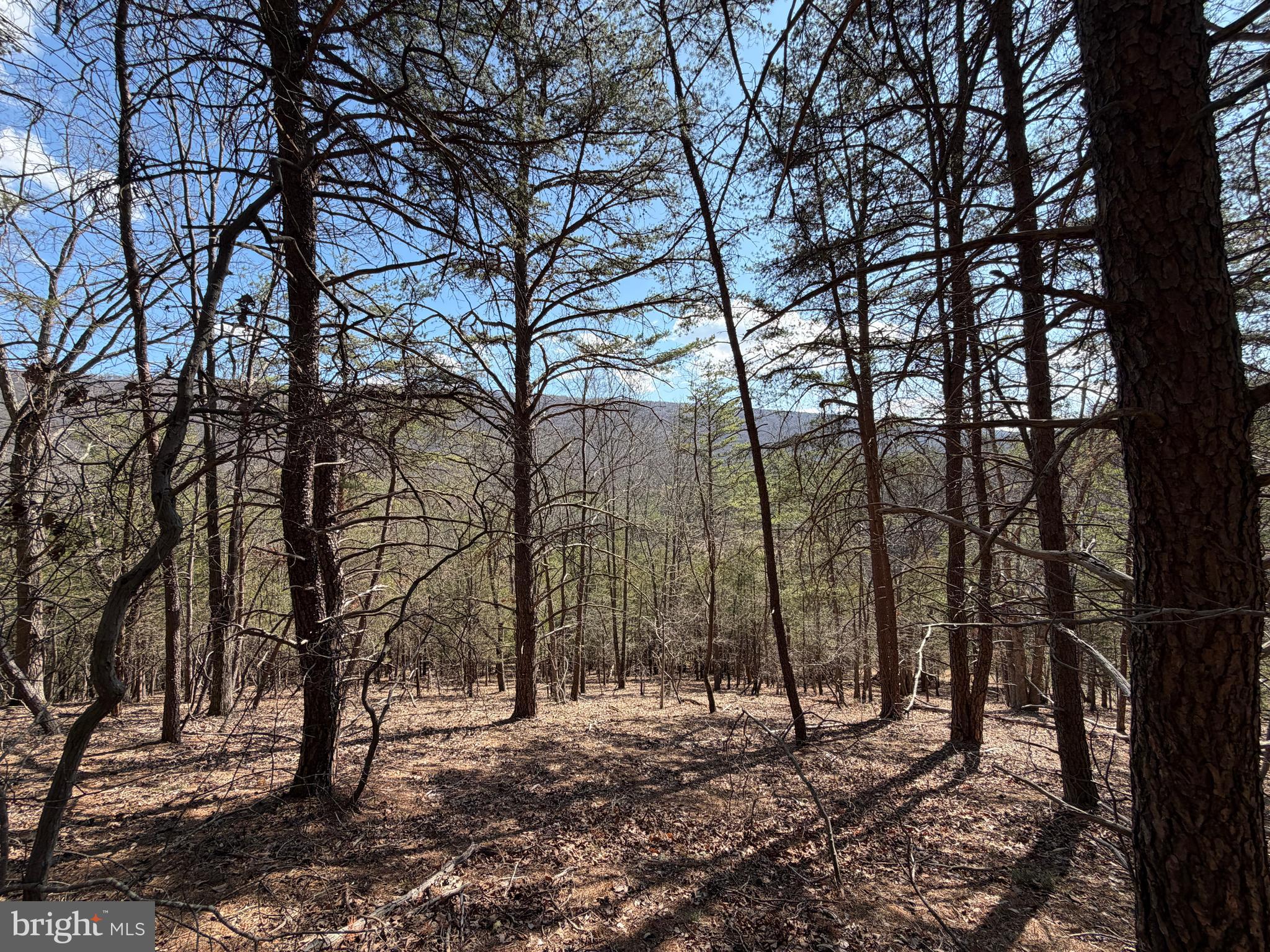 HAMILTON ESTATES - Land