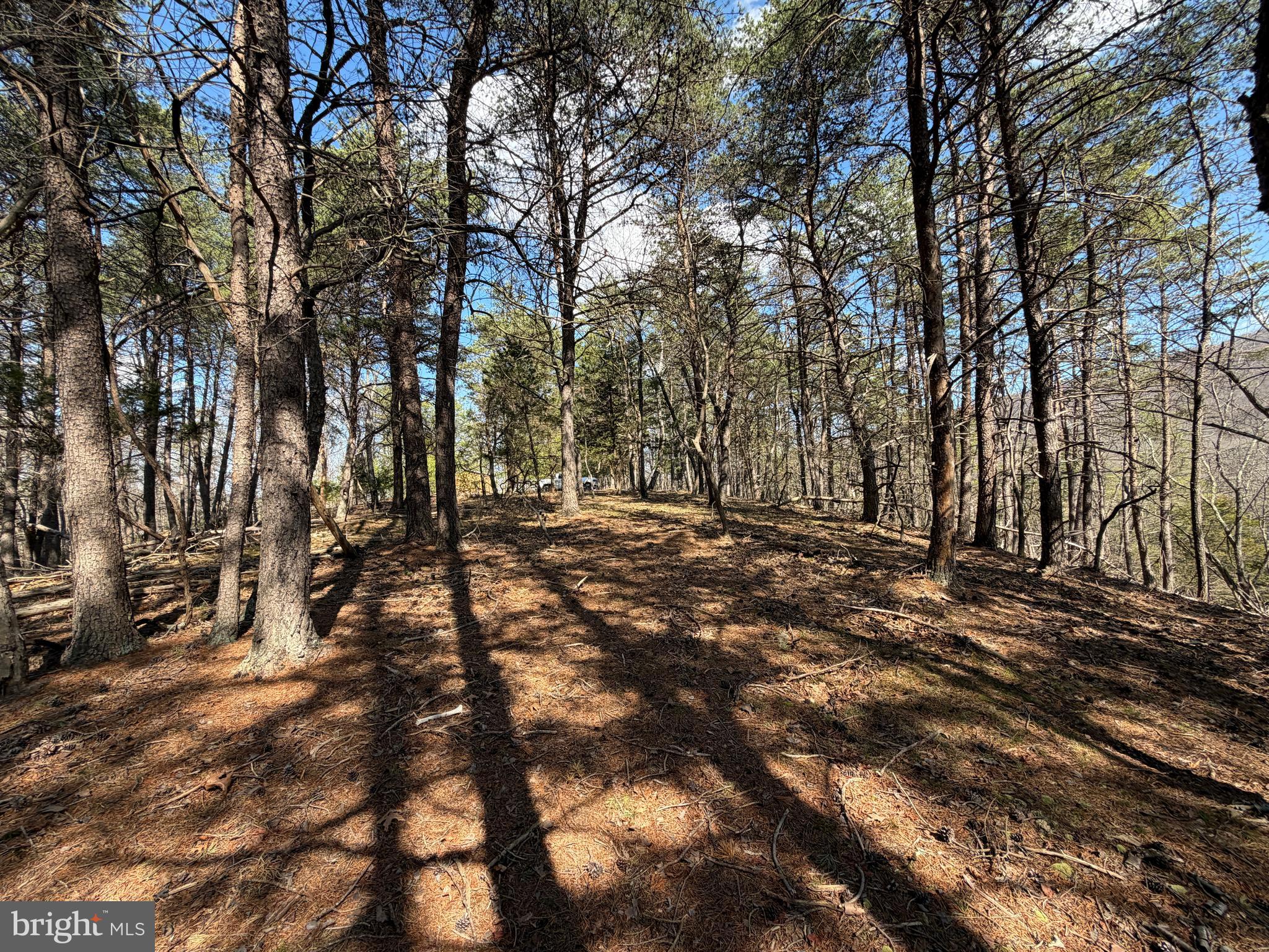 HAMILTON ESTATES - Land