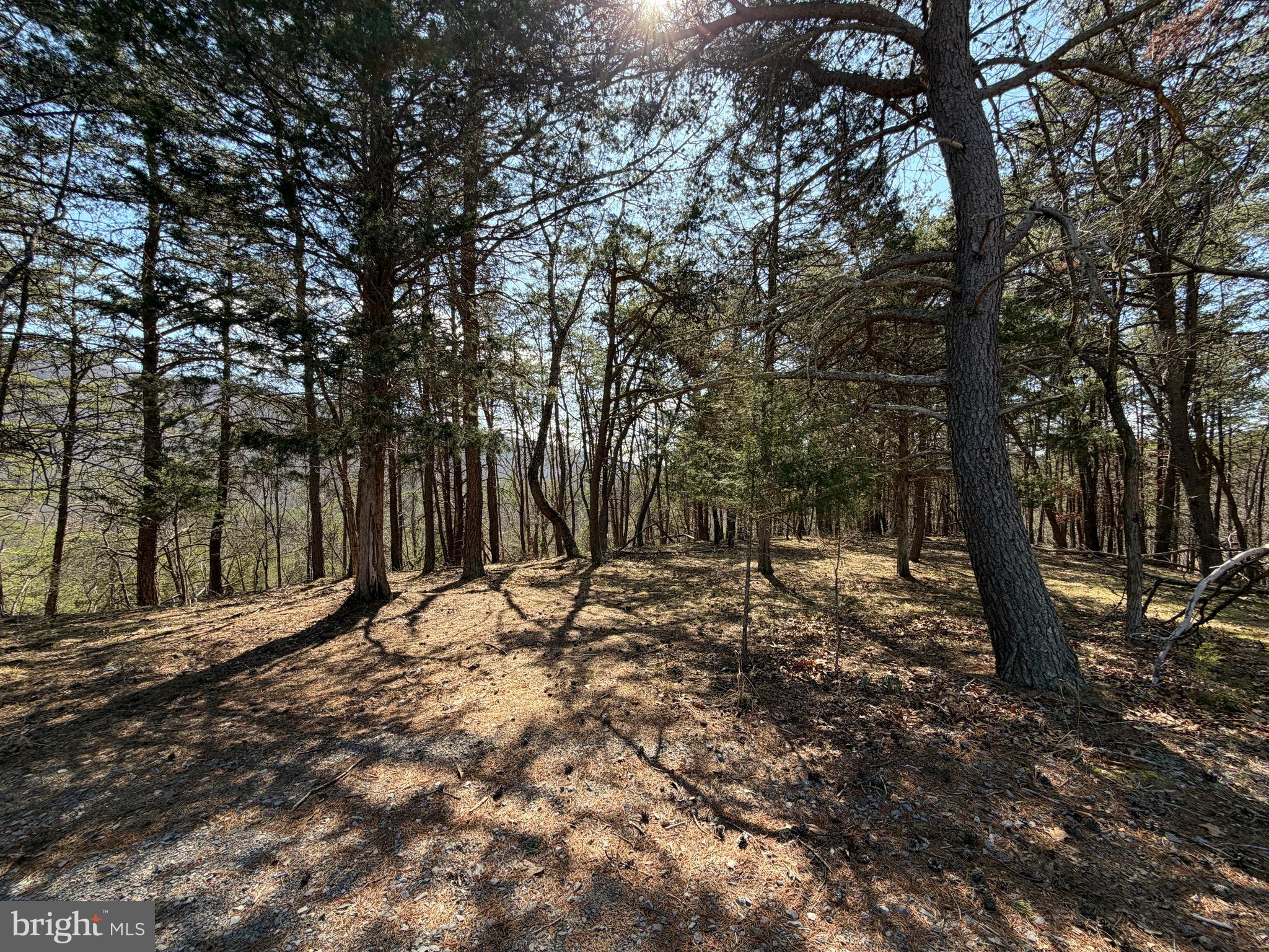 HAMILTON ESTATES - Land