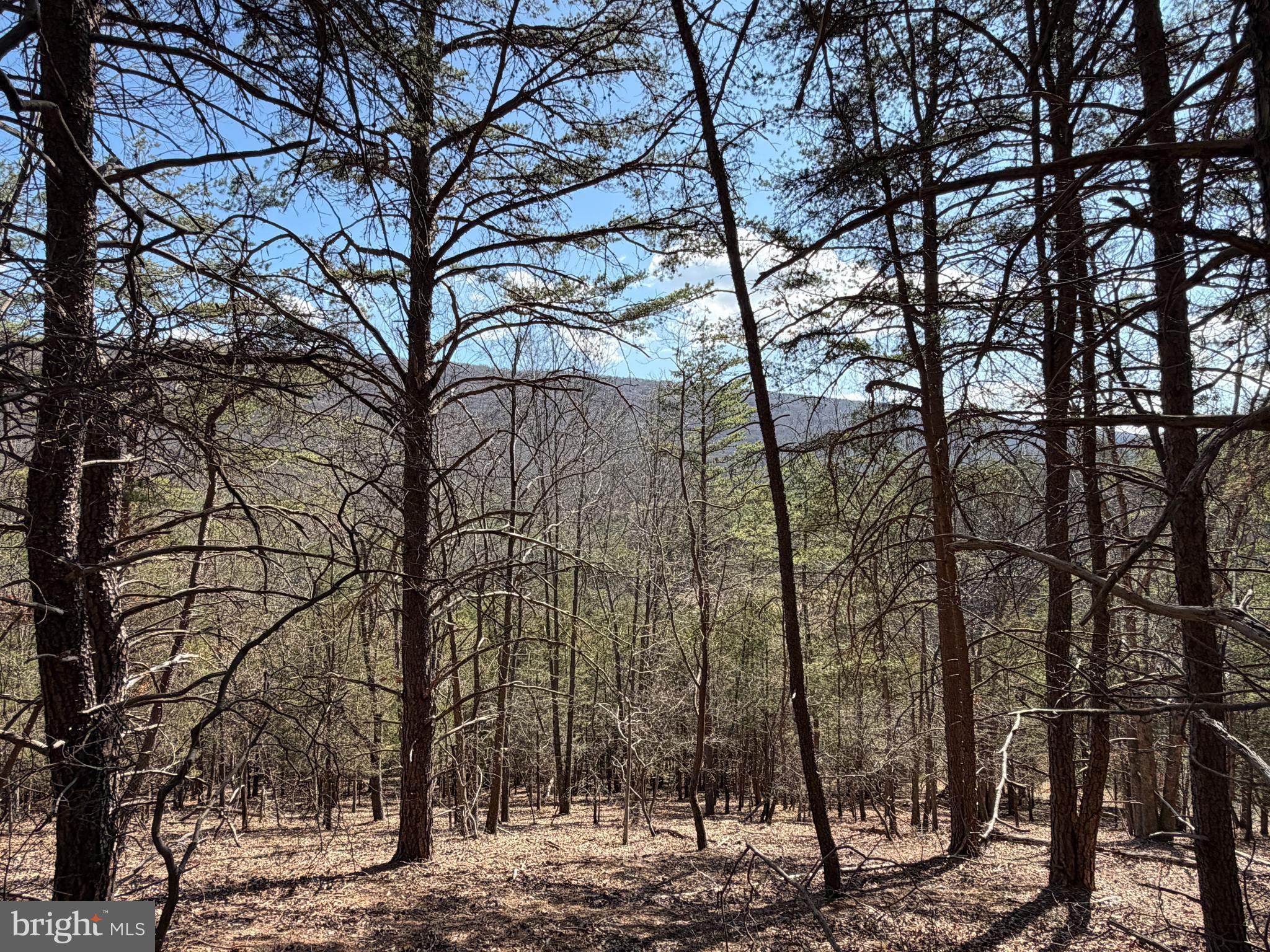 HAMILTON ESTATES - Land