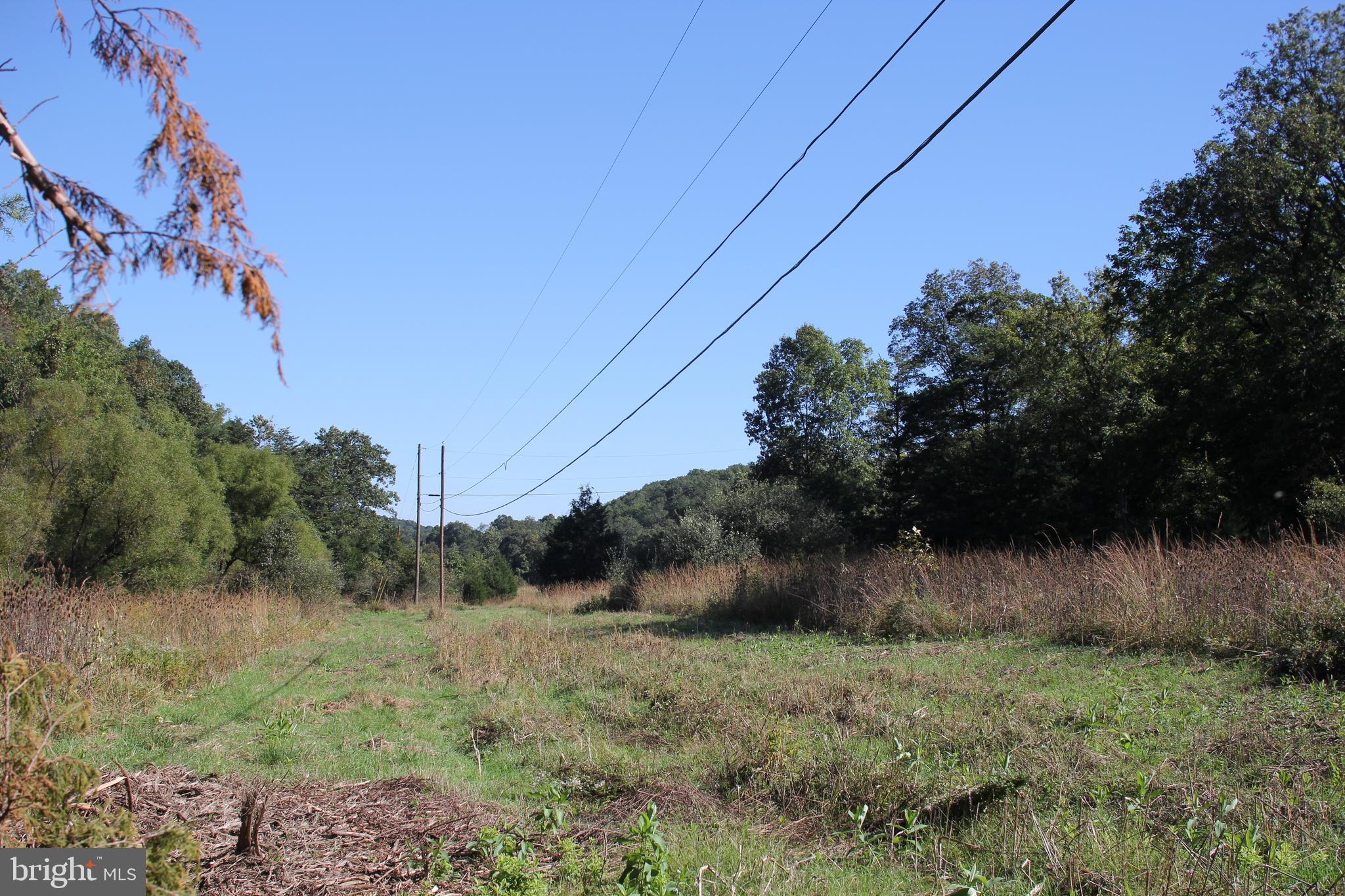 HAMILTON ESTATES - Land