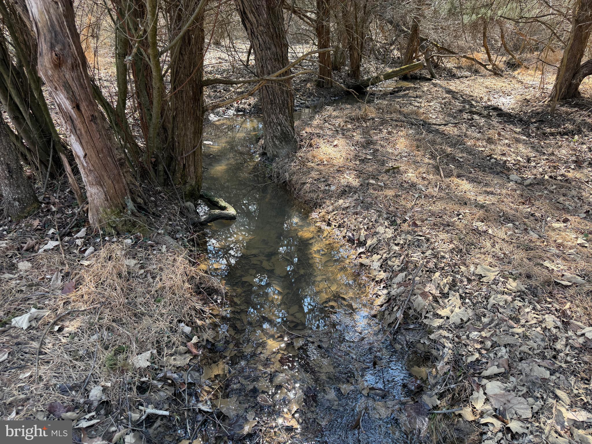 HAMILTON ESTATES - Land