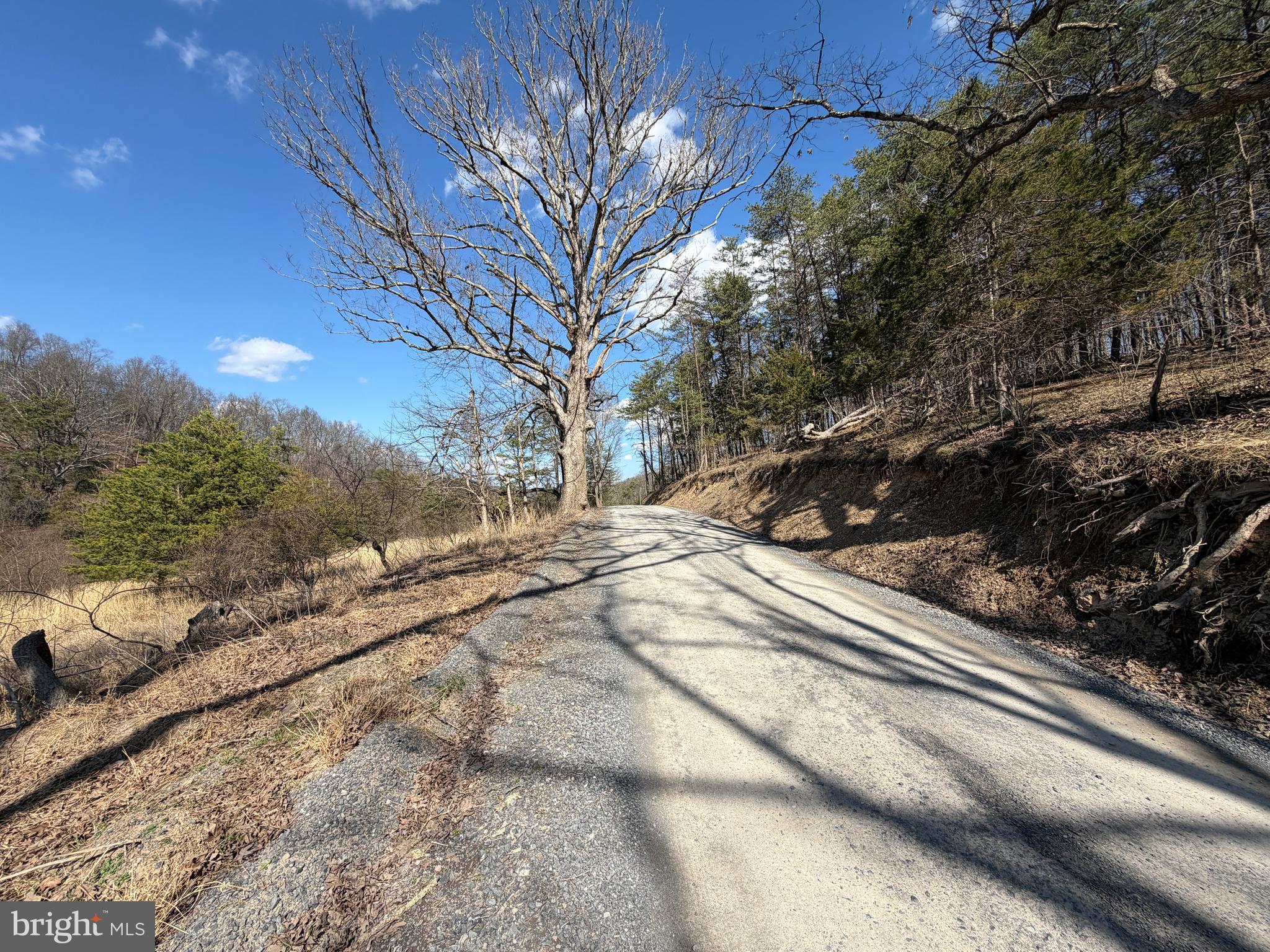 HAMILTON ESTATES - Land